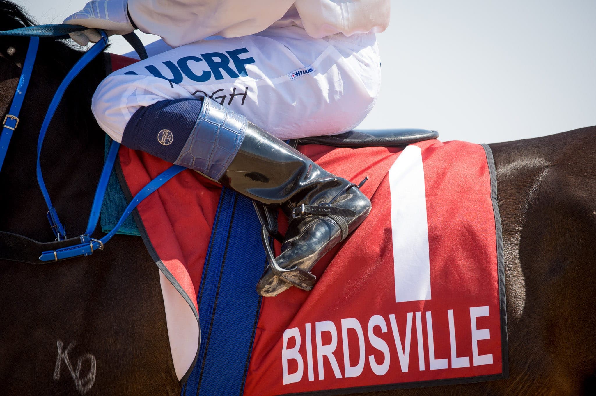 Birdsville — Racing photograph by Sharon Lee Chapman