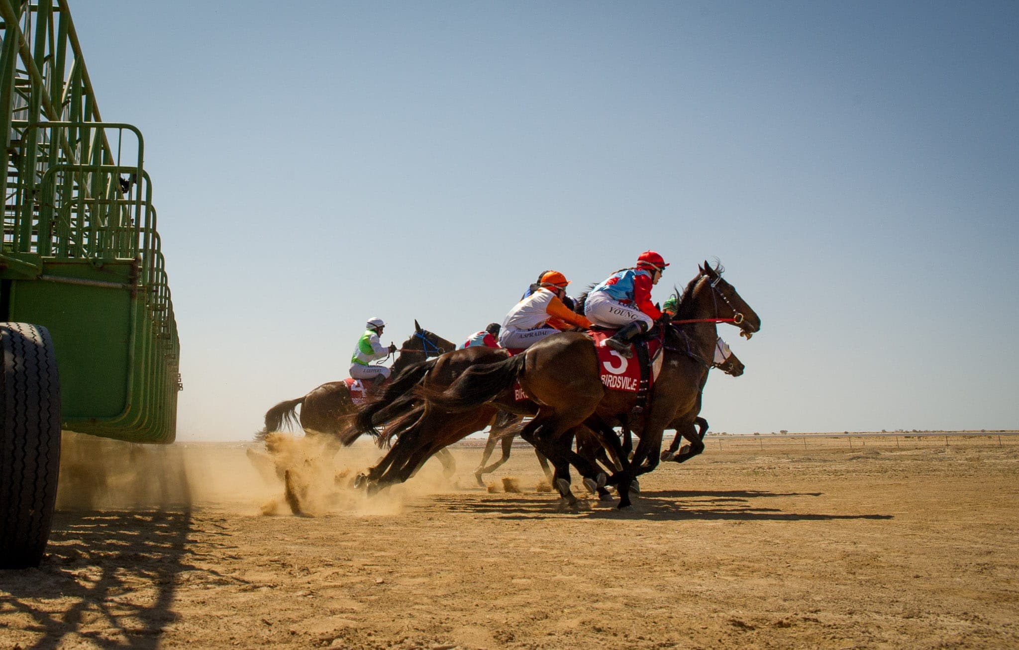 Birdsville — Racing photograph by Sharon Lee Chapman