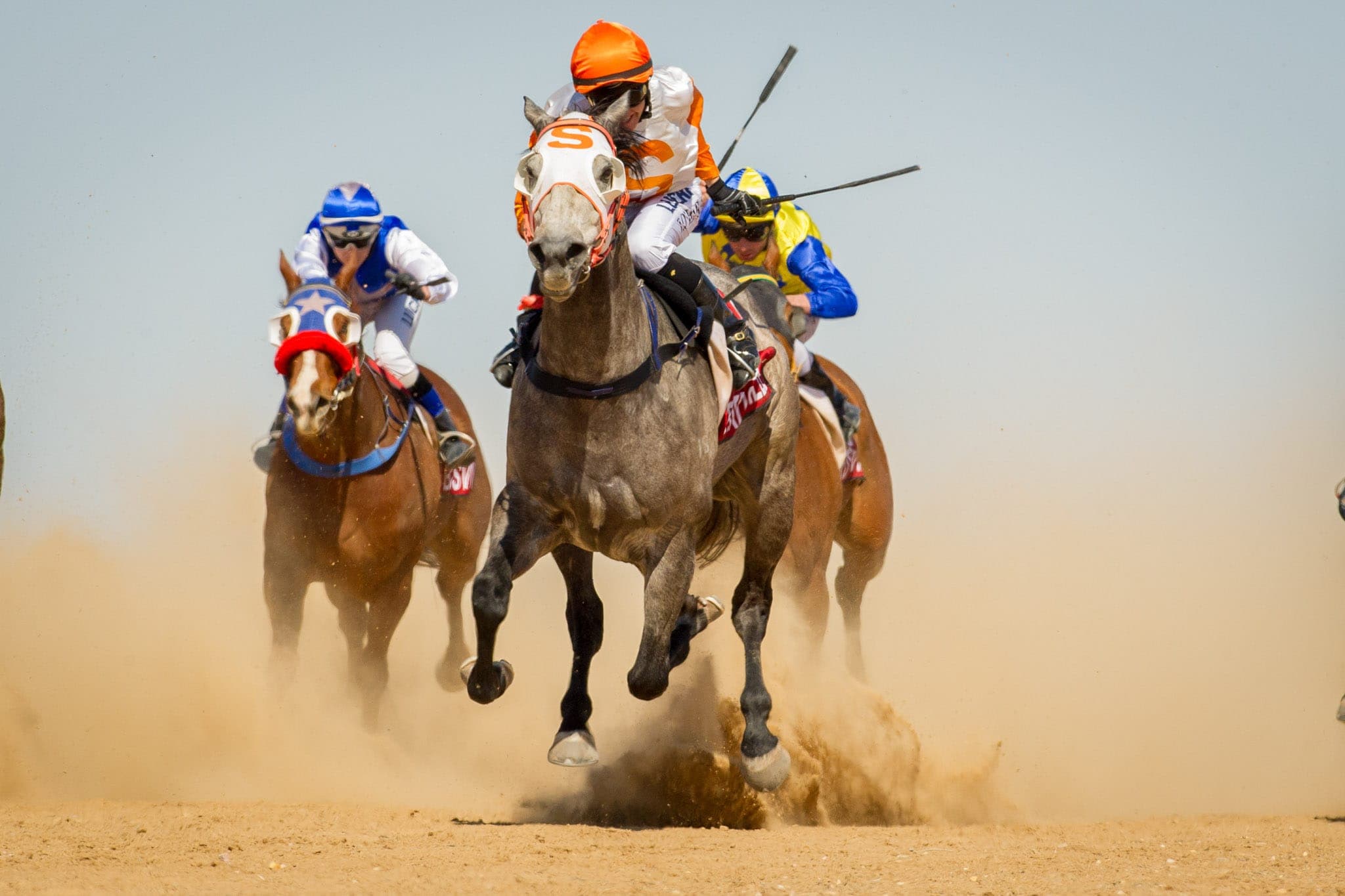 Birdsville — Racing photograph by Sharon Lee Chapman