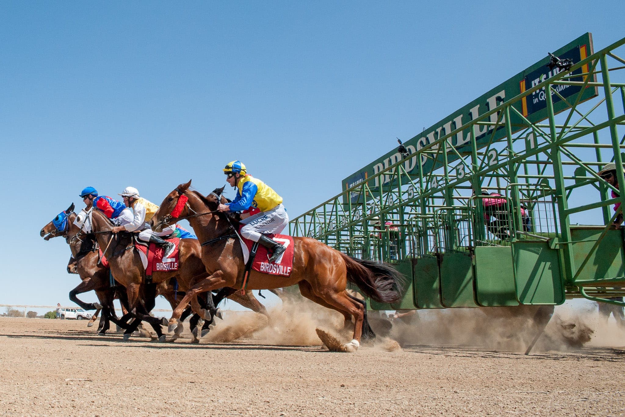 Birdsville — Racing photograph by Sharon Lee Chapman