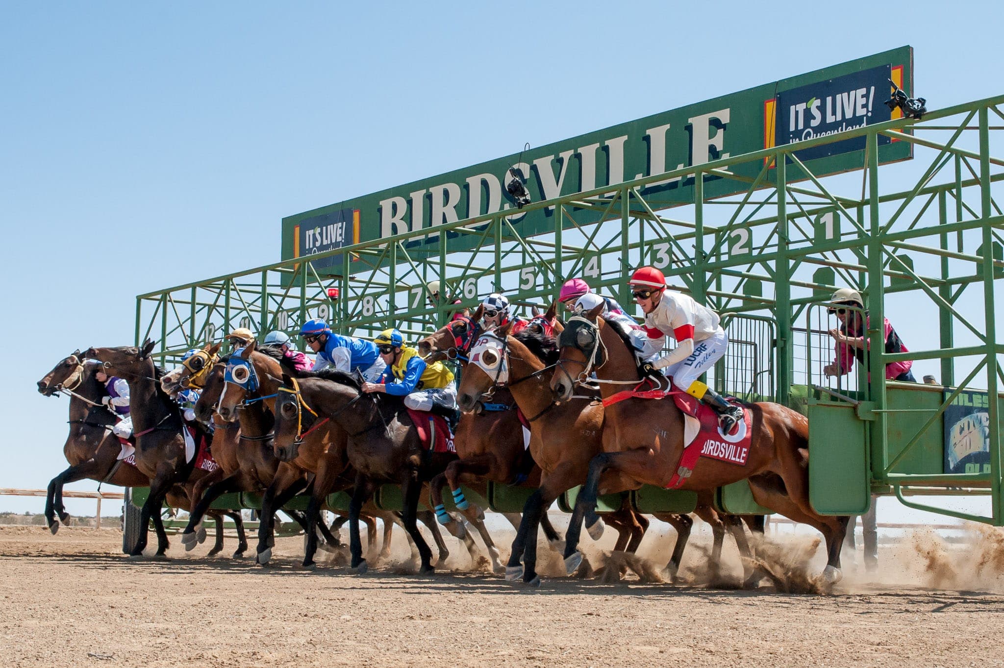 Birdsville — Racing photograph by Sharon Lee Chapman