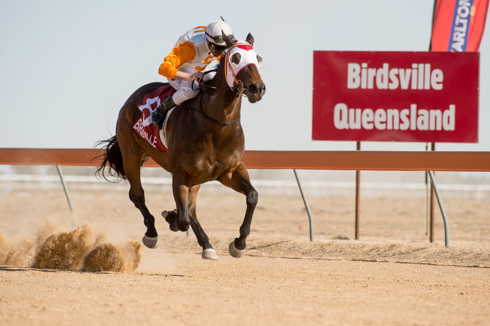 Birdsville — Racing photograph by Sharon Lee Chapman