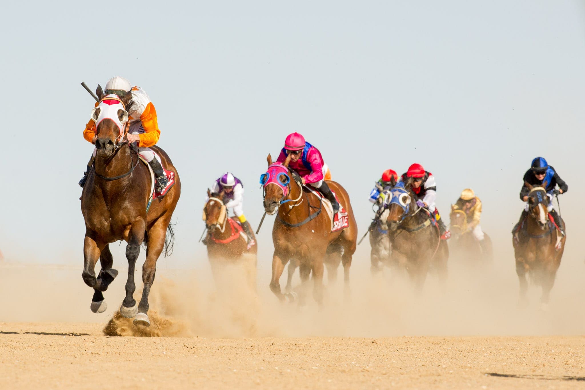 Birdsville — Racing photograph by Sharon Lee Chapman
