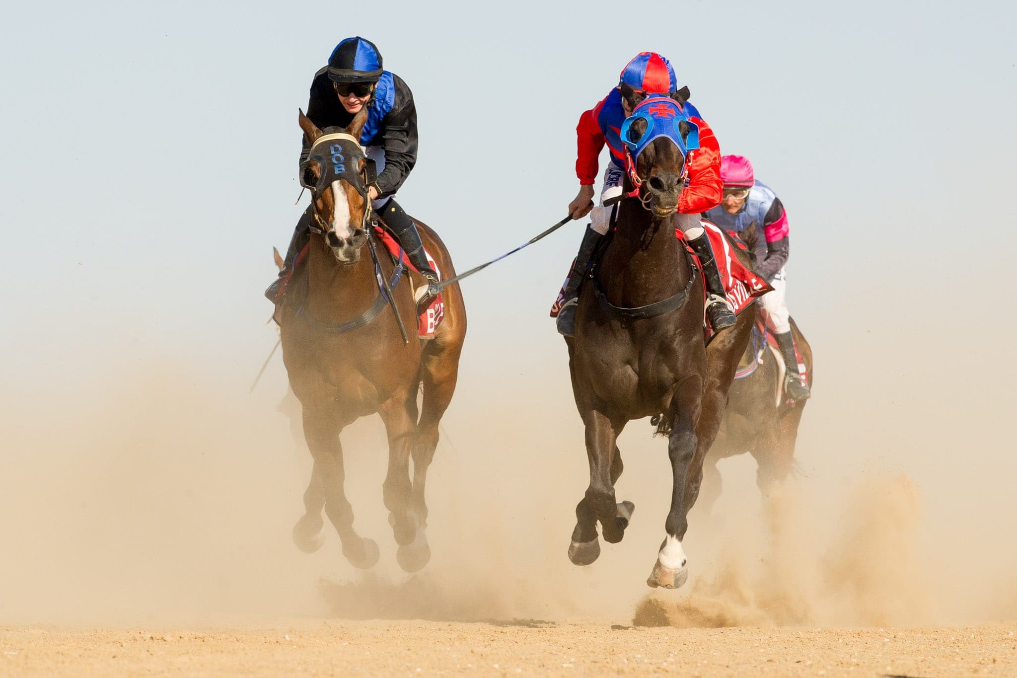 Birdsville — Racing photograph by Sharon Lee Chapman