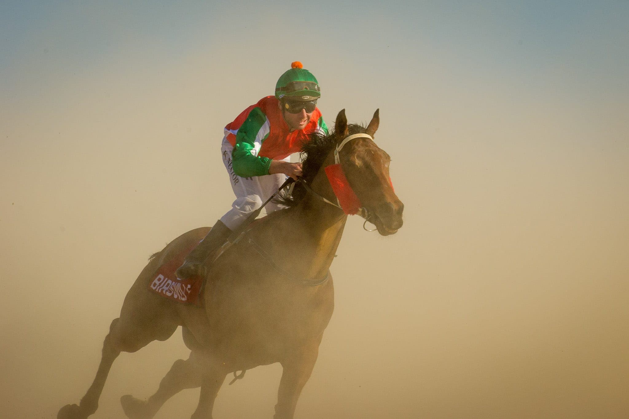Birdsville — Racing photograph by Sharon Lee Chapman