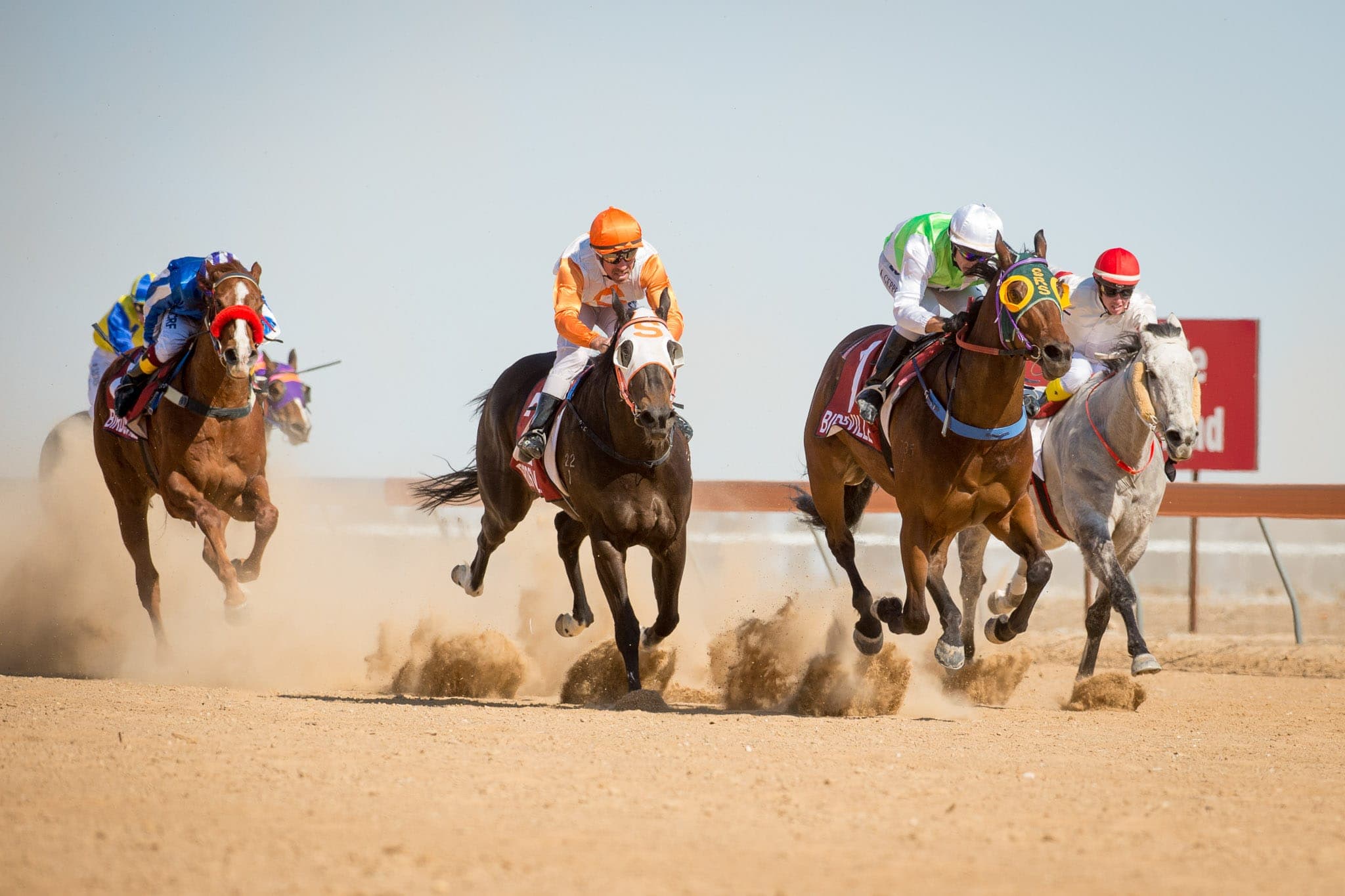 Birdsville — Racing photograph by Sharon Lee Chapman