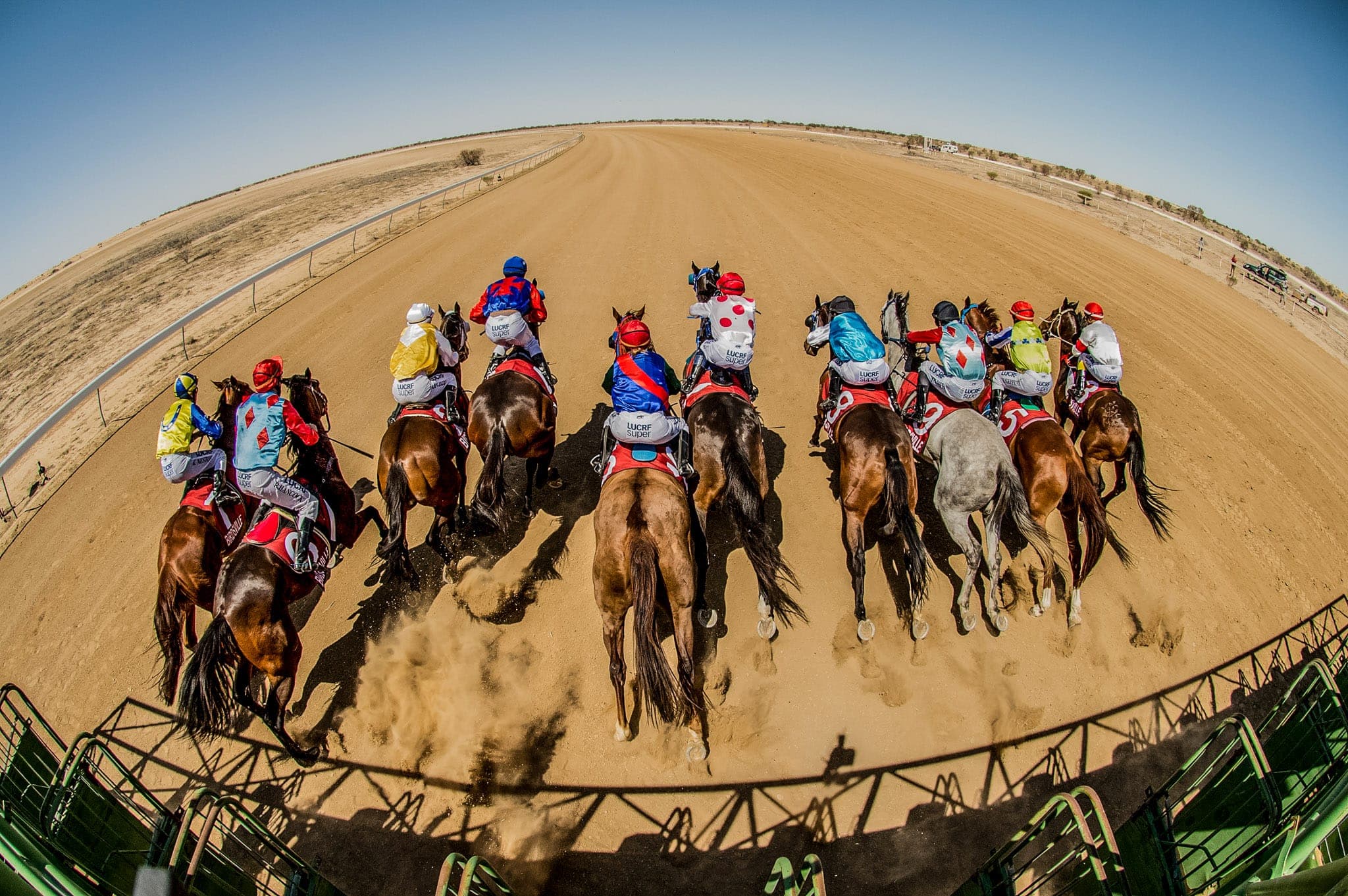 Birdsville — Racing photograph by Sharon Lee Chapman