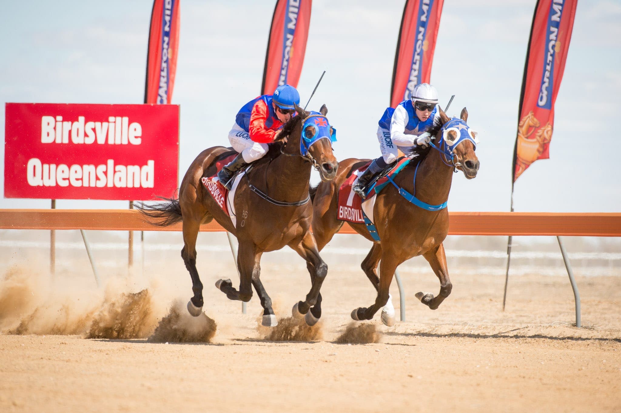 Birdsville — Racing photograph by Sharon Lee Chapman
