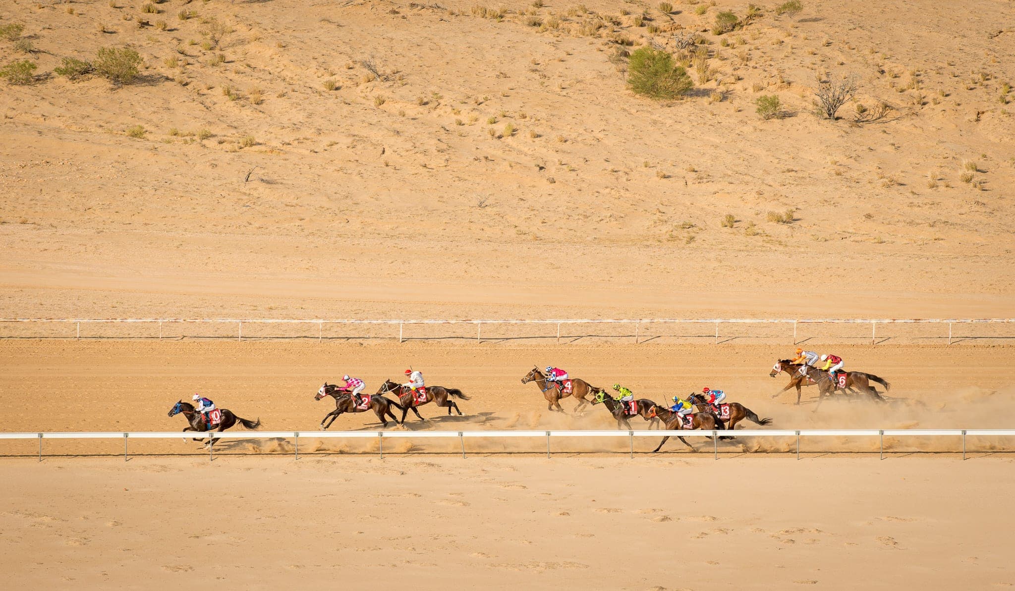 Birdsville, Aerial — Racing photograph by Sharon Lee Chapman