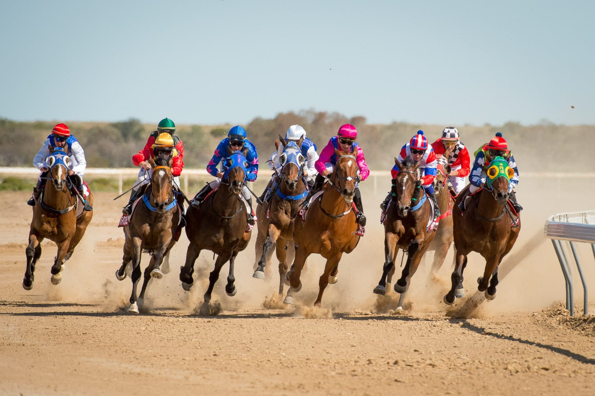Birdsville — Racing photograph by Sharon Lee Chapman