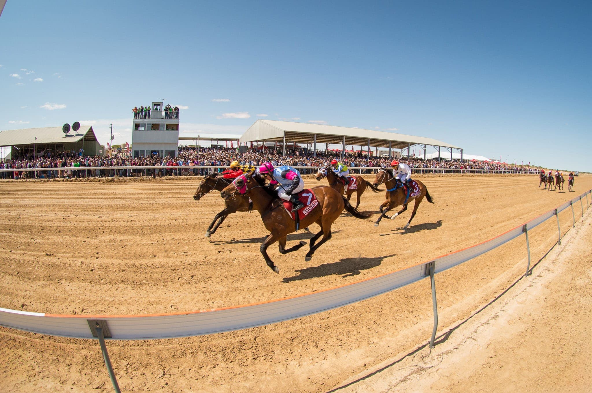 Birdsville — Racing photograph by Sharon Lee Chapman