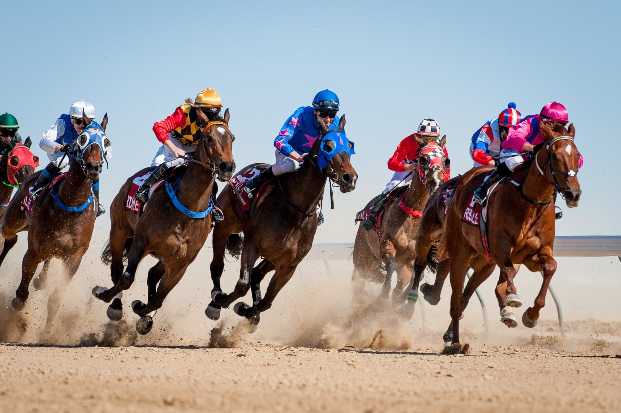 Birdsville — Racing photograph by Sharon Lee Chapman