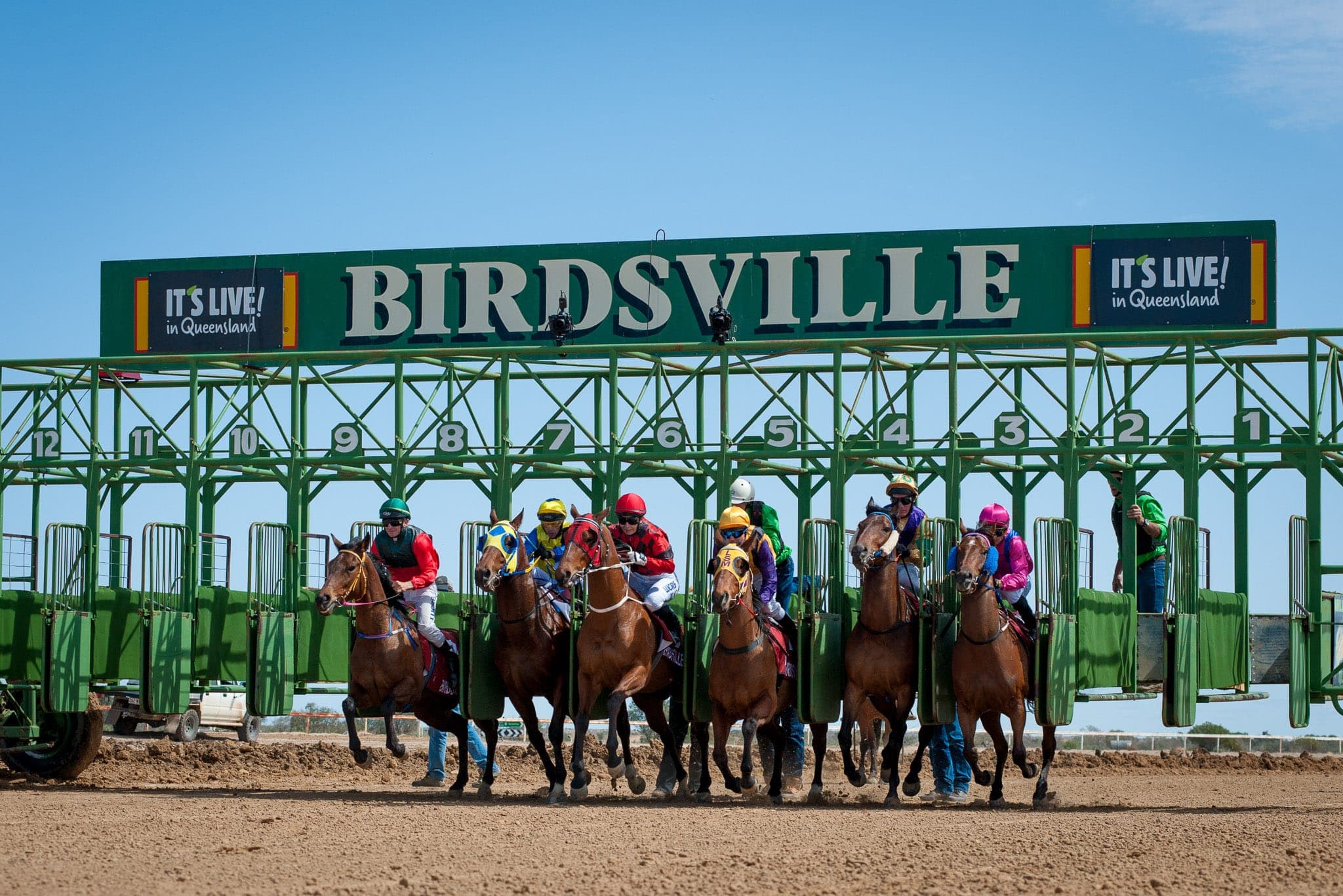 Birdsville — Racing photograph by Sharon Lee Chapman