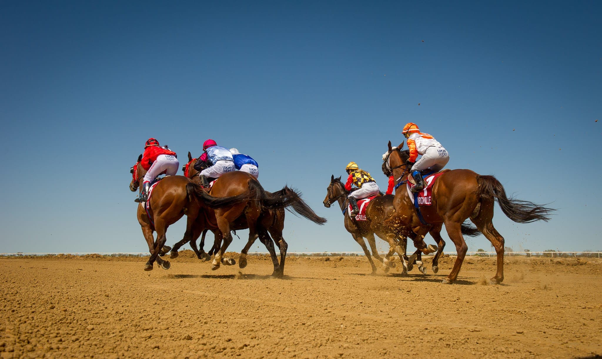 Birdsville — Racing photograph by Sharon Lee Chapman