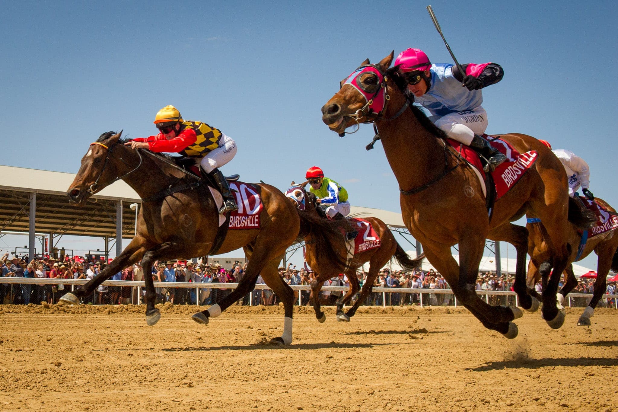 Birdsville — Racing photograph by Sharon Lee Chapman