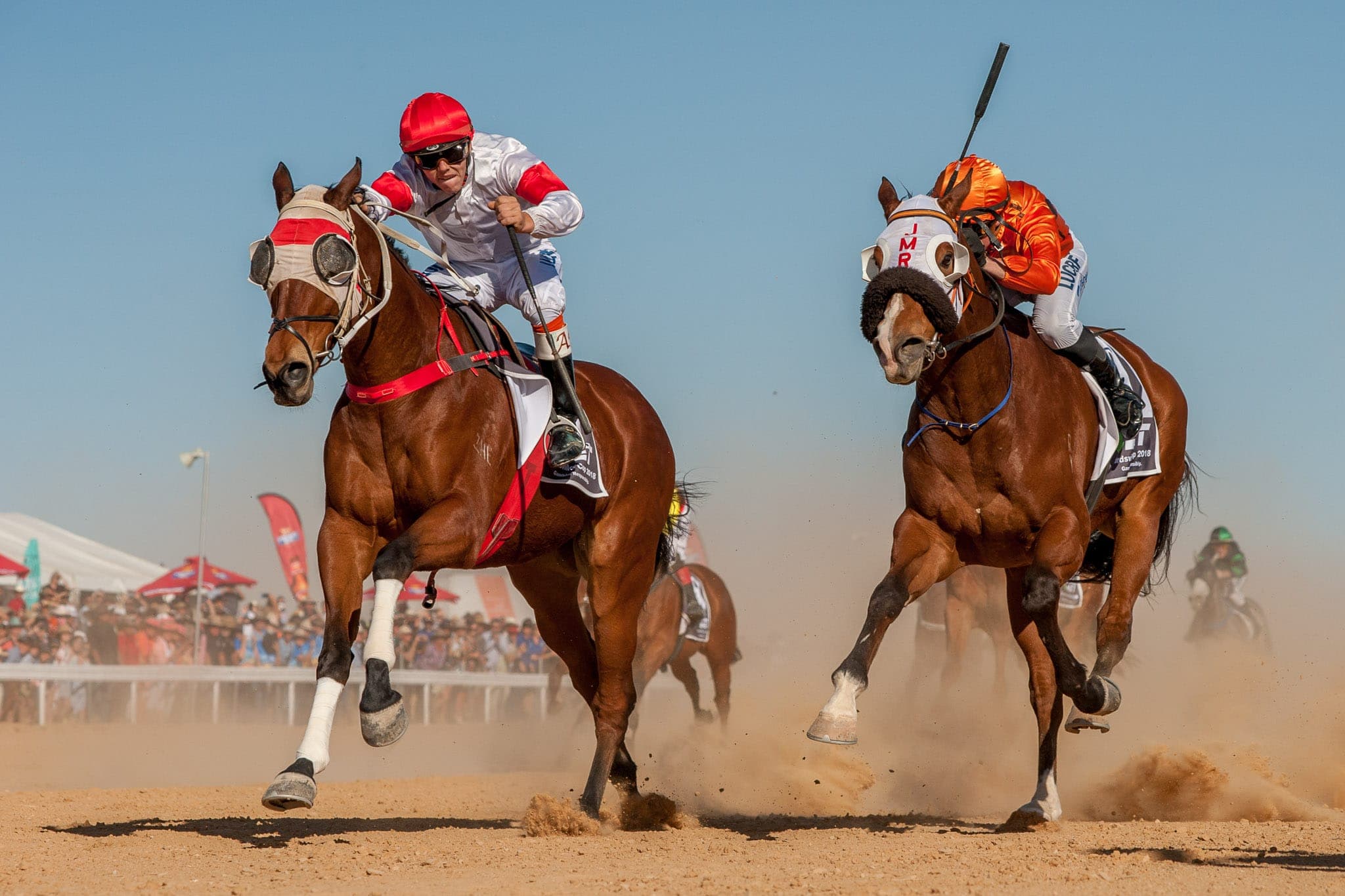 Birdsville — Racing photograph by Sharon Lee Chapman