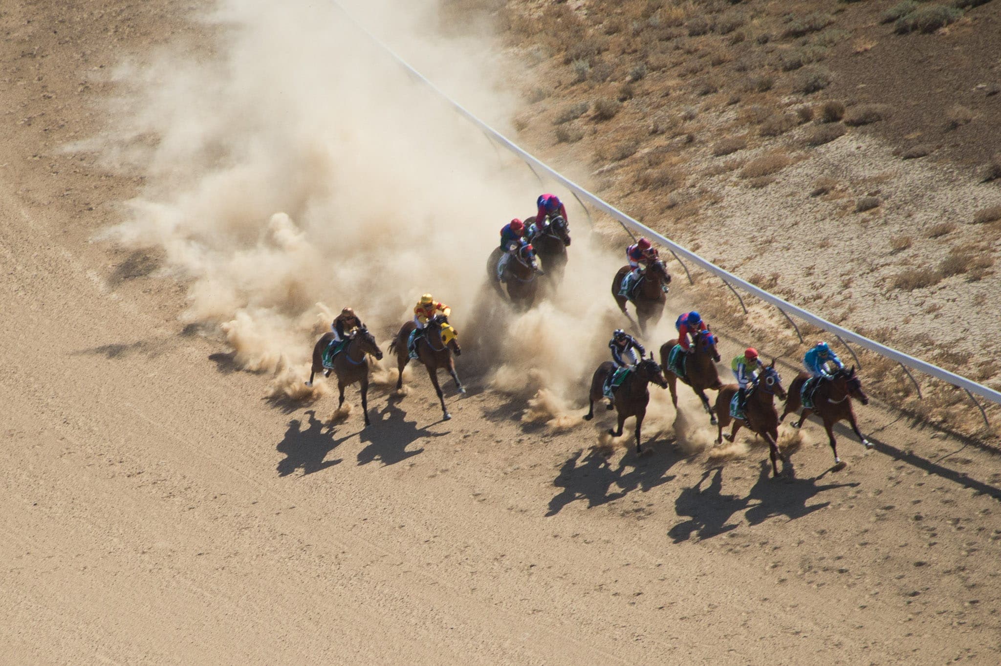 Birdsville — Racing photograph by Sharon Lee Chapman