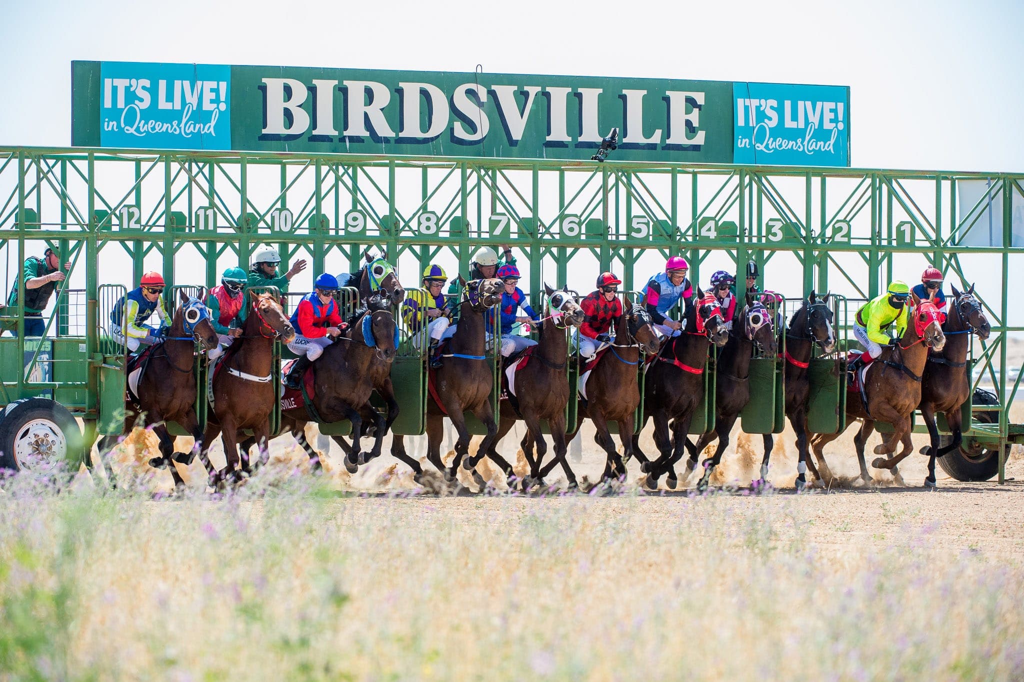 Birdsville — Racing photograph by Sharon Lee Chapman