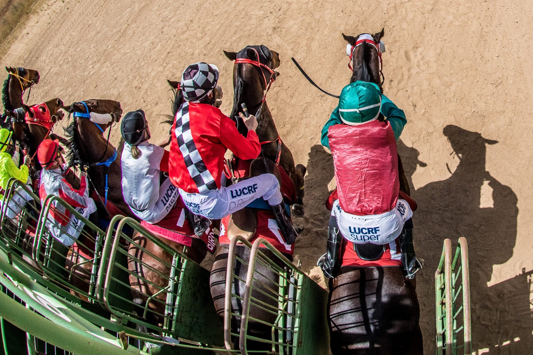 Birdsville — Racing photograph by Sharon Lee Chapman