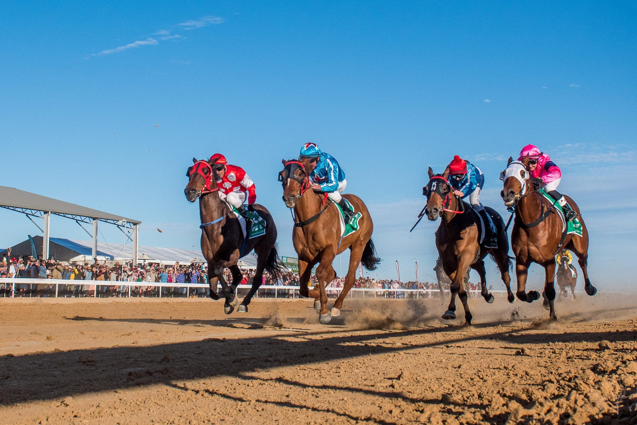 Birdsville — Racing photograph by Sharon Lee Chapman
