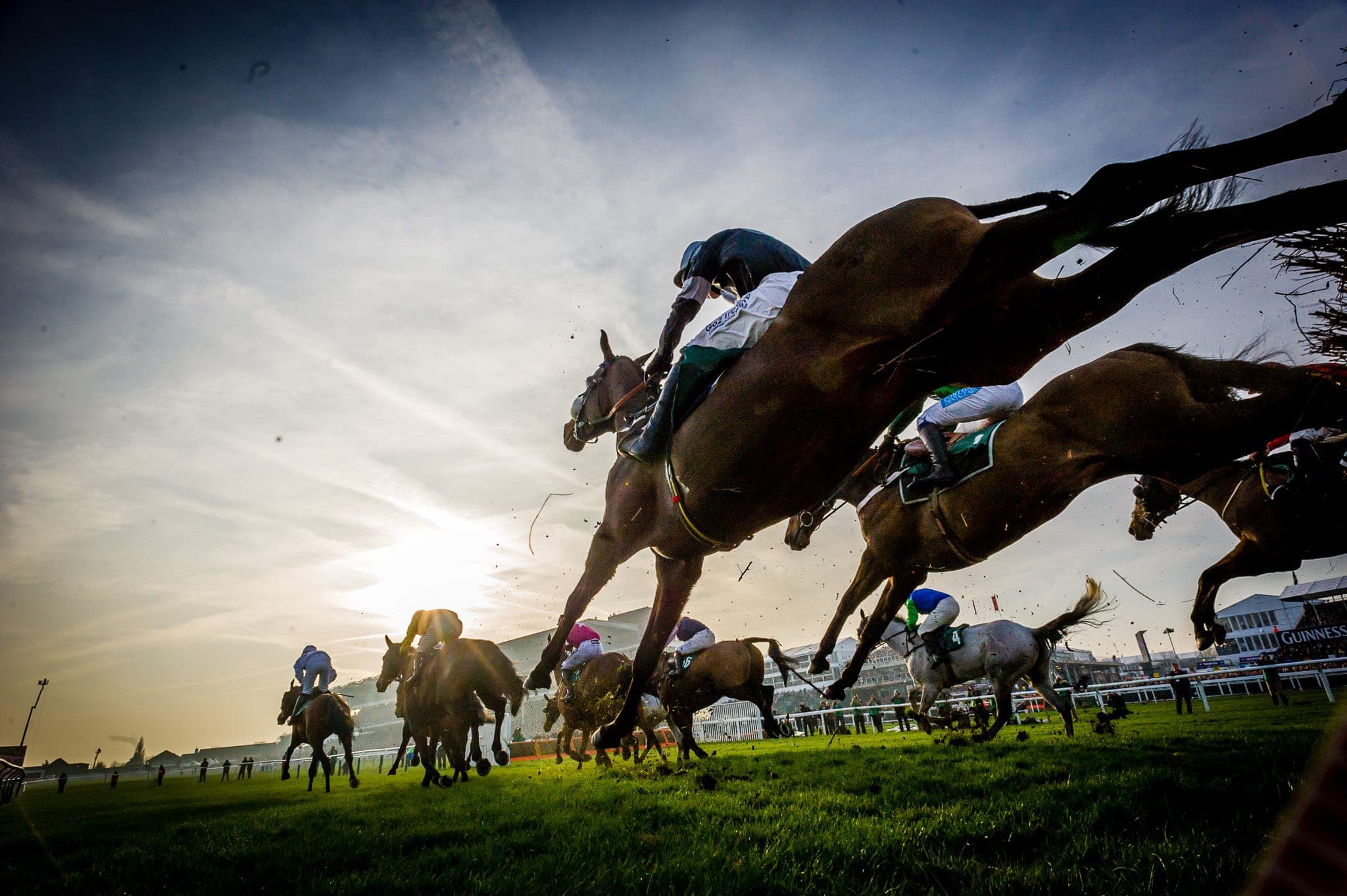 Cheltenham 2014 — Racing photograph by Sharon Lee Chapman