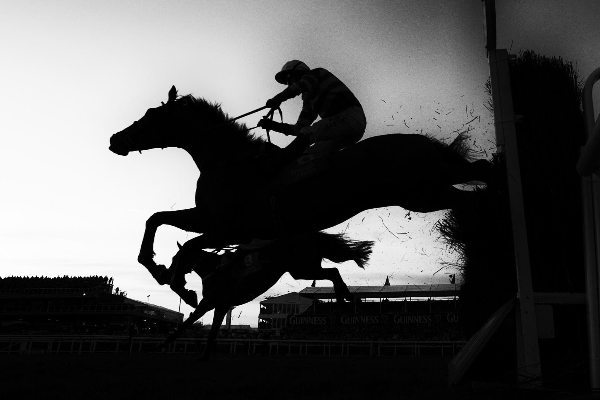 Cheltenham — Racing photograph by Sharon Lee Chapman