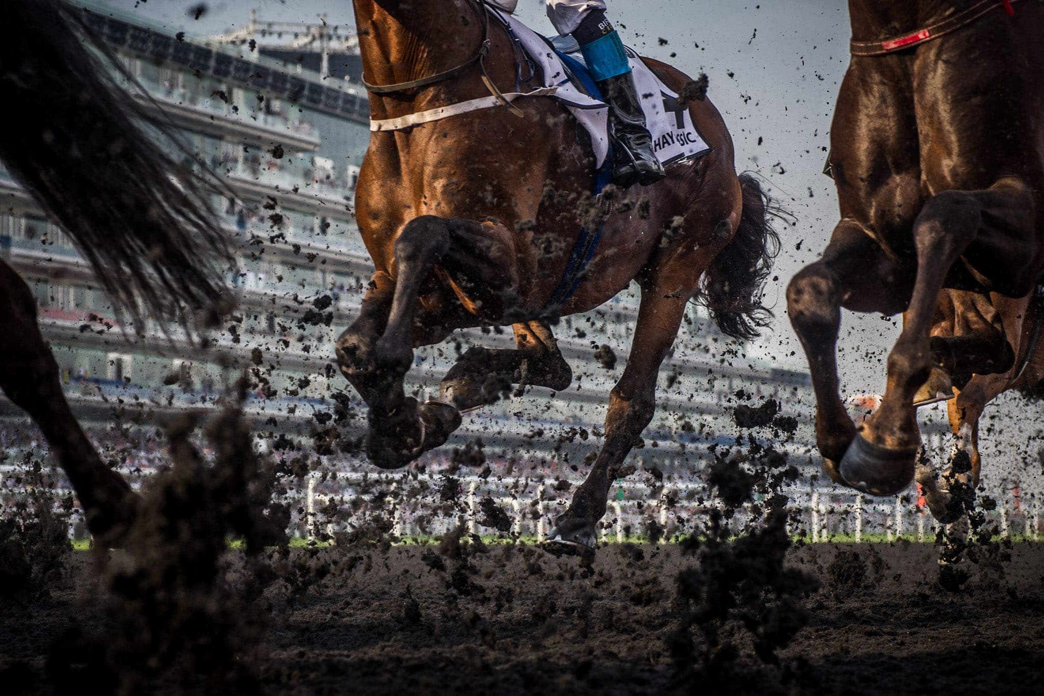 Dubai — Racing photograph by Sharon Lee Chapman