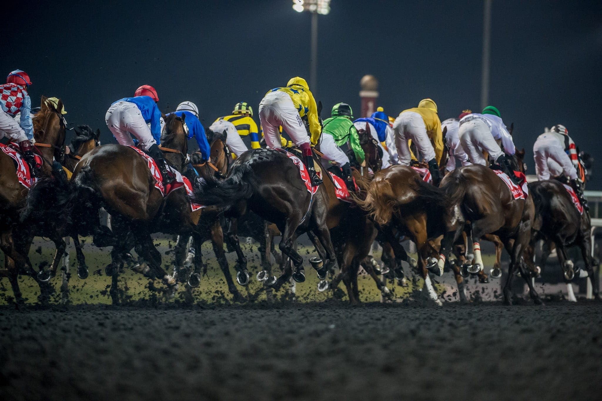 Dubai — Racing photograph by Sharon Lee Chapman
