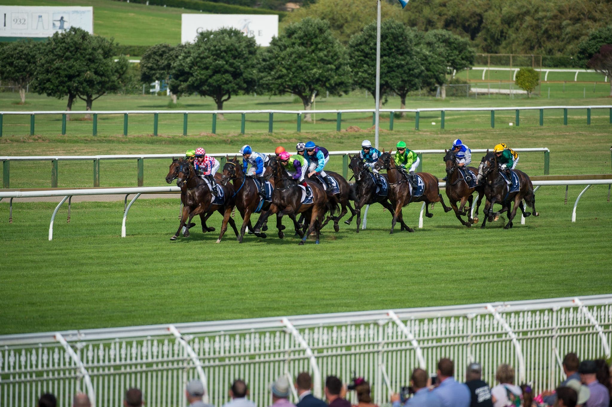 Ellersliie, NZ — Racing photograph by Sharon Lee Chapman