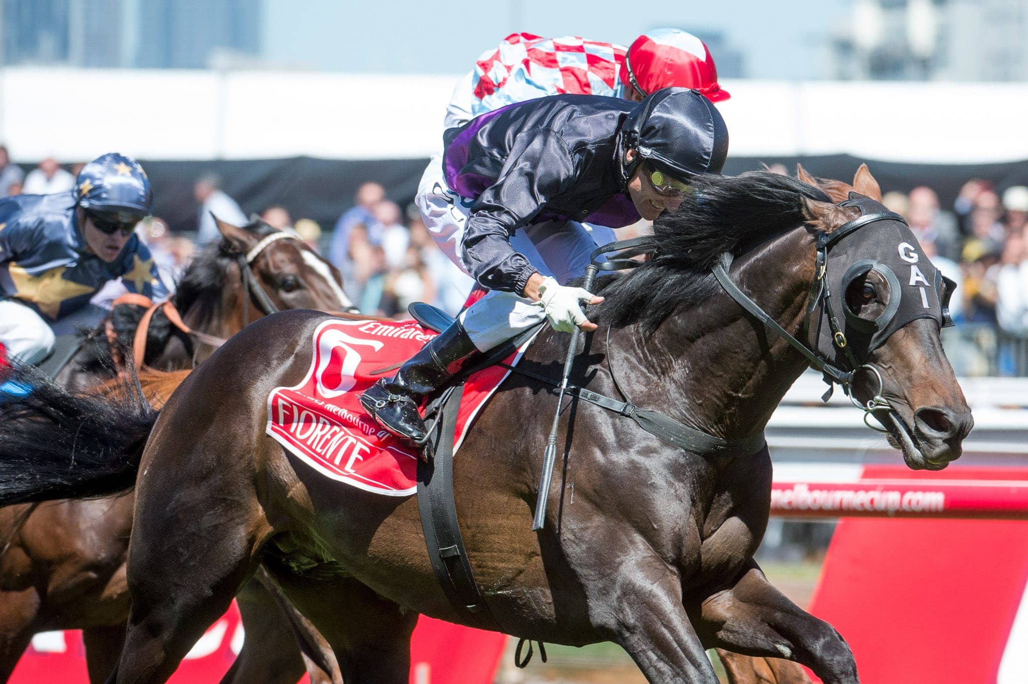 Flemington, Melb Cup, Fiorente — Racing photograph by Sharon Lee Chapman