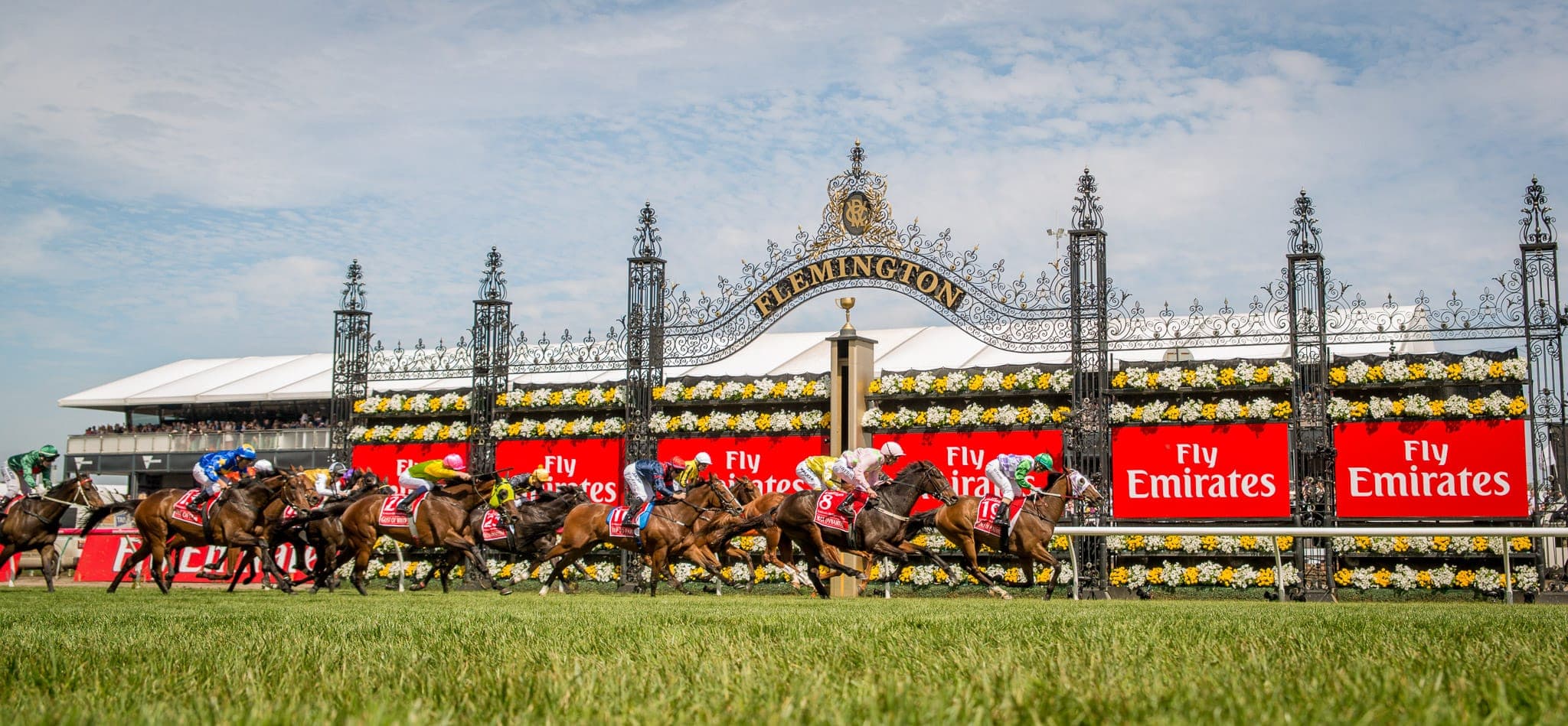 Flemington, Melb Cup, Prince of Penzance — Racing photograph by Sharon Lee Chapman