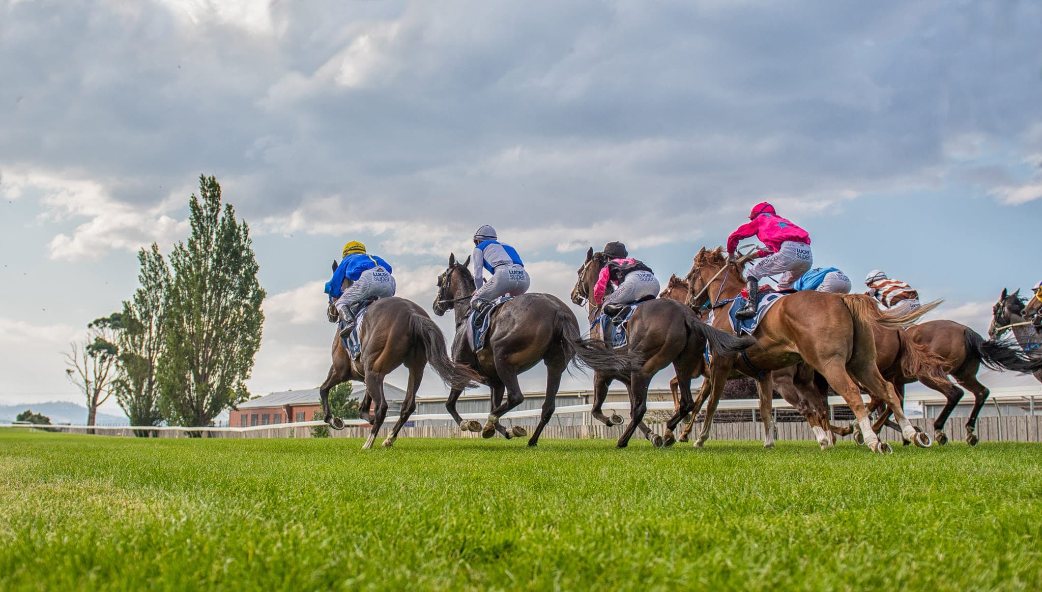Hobart — Racing photograph by Sharon Lee Chapman