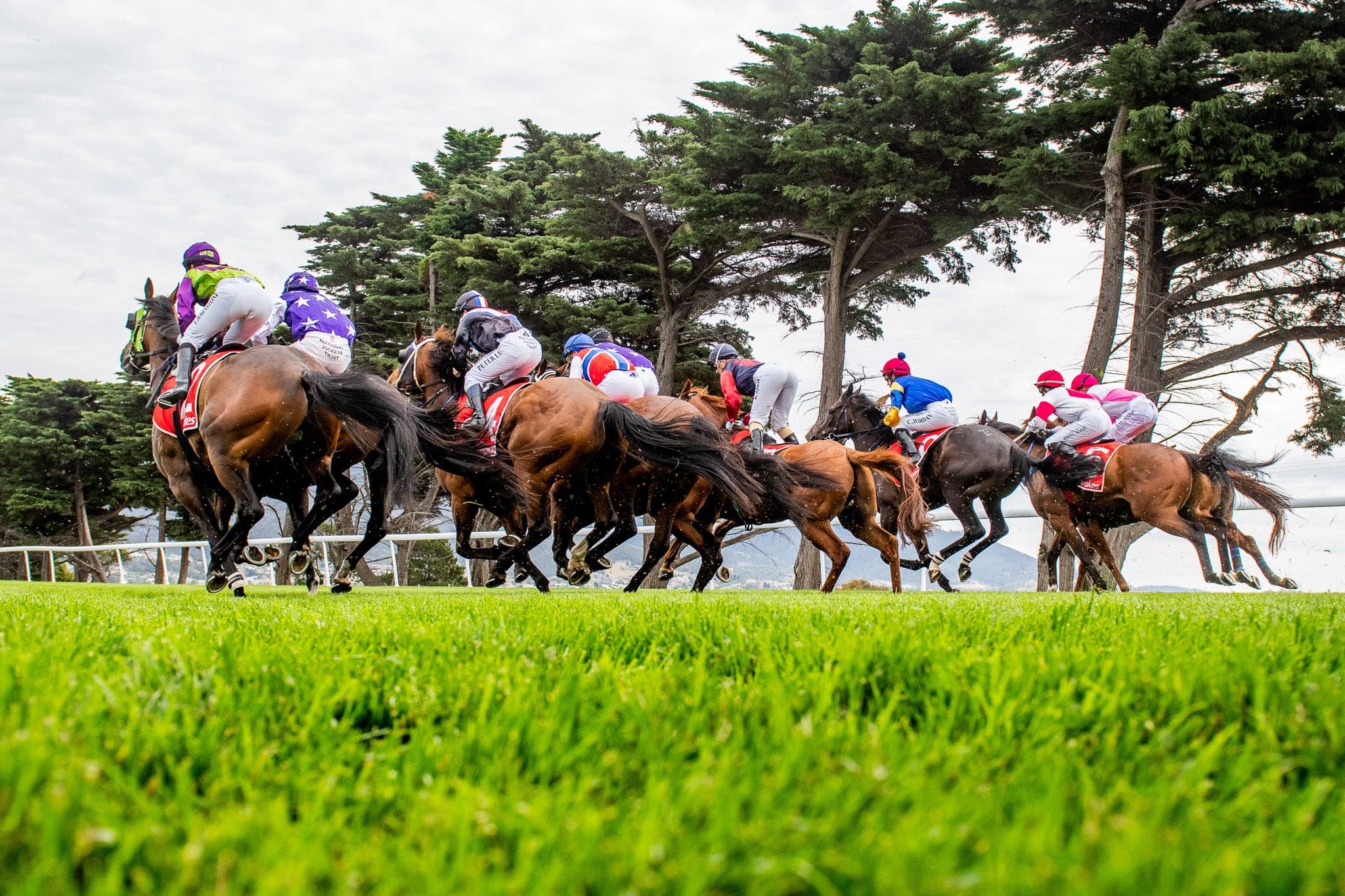 Hobart — Racing photograph by Sharon Lee Chapman