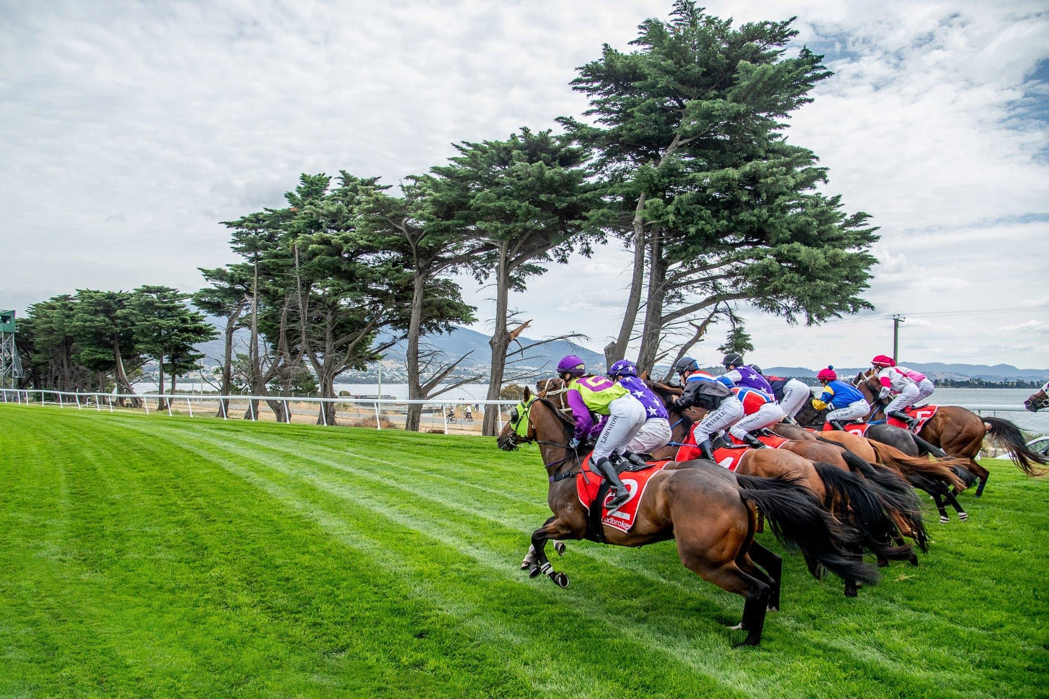 Hobart — Racing photograph by Sharon Lee Chapman