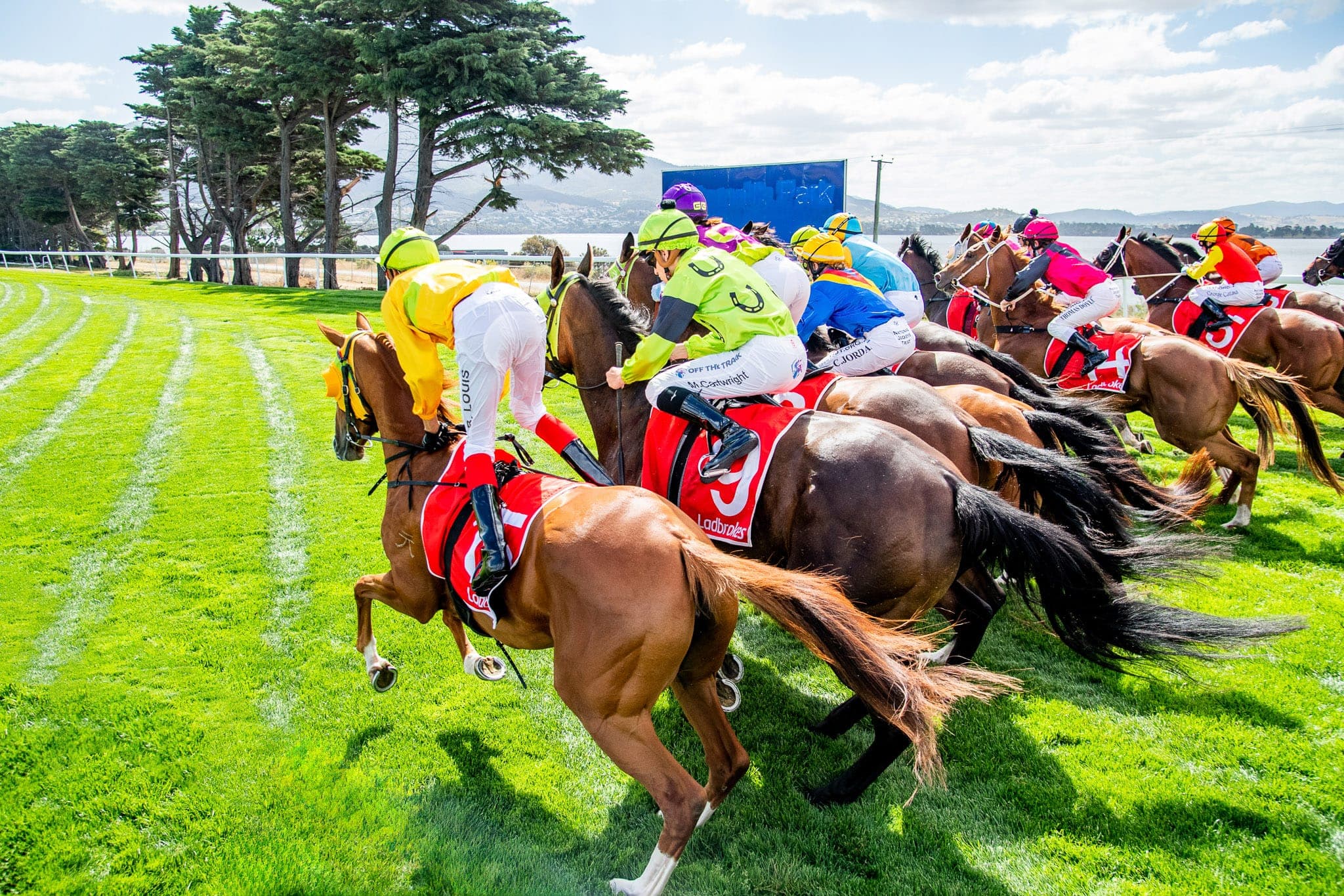 Hobart — Racing photograph by Sharon Lee Chapman