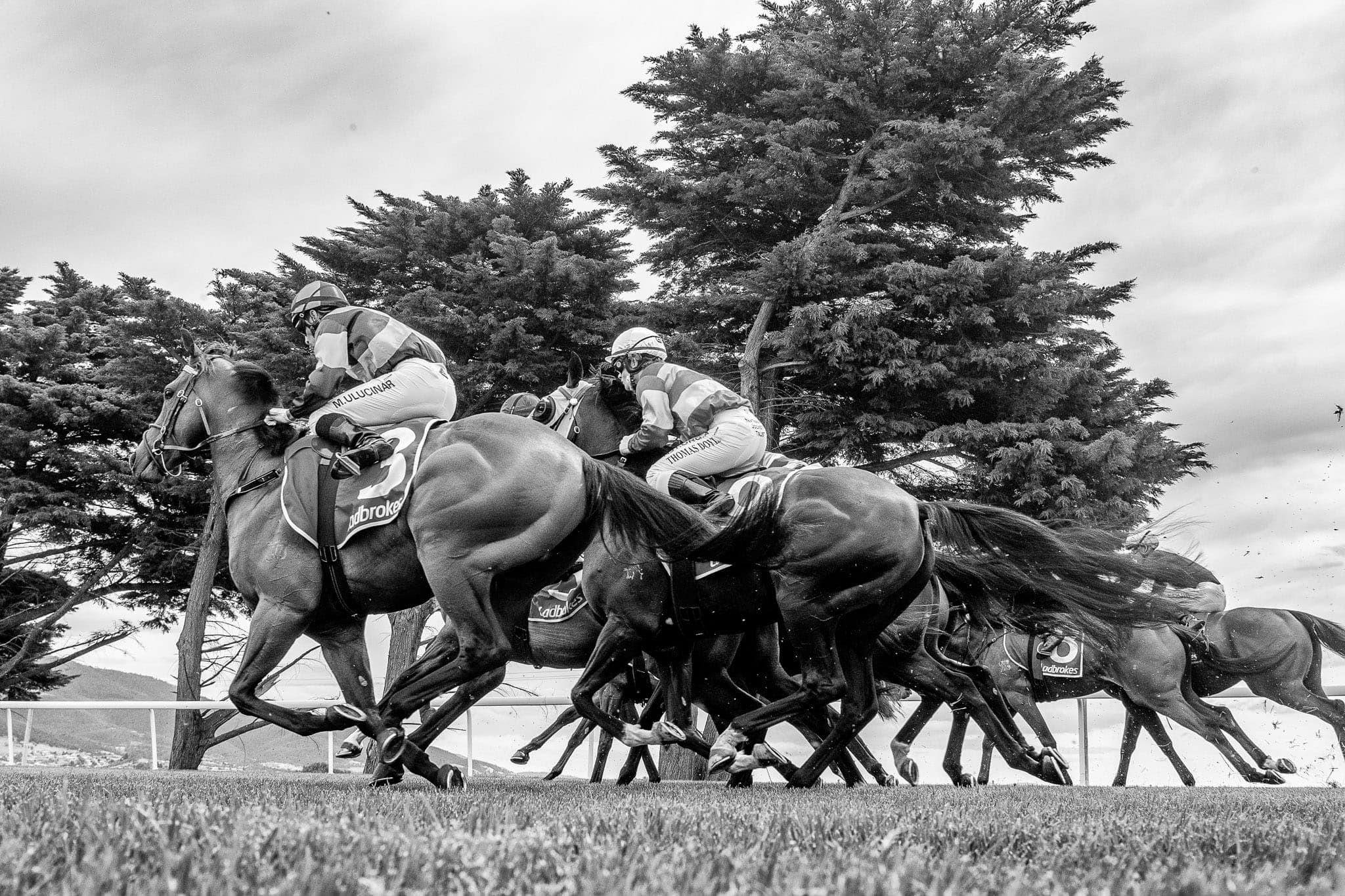 Hobart — Racing photograph by Sharon Lee Chapman