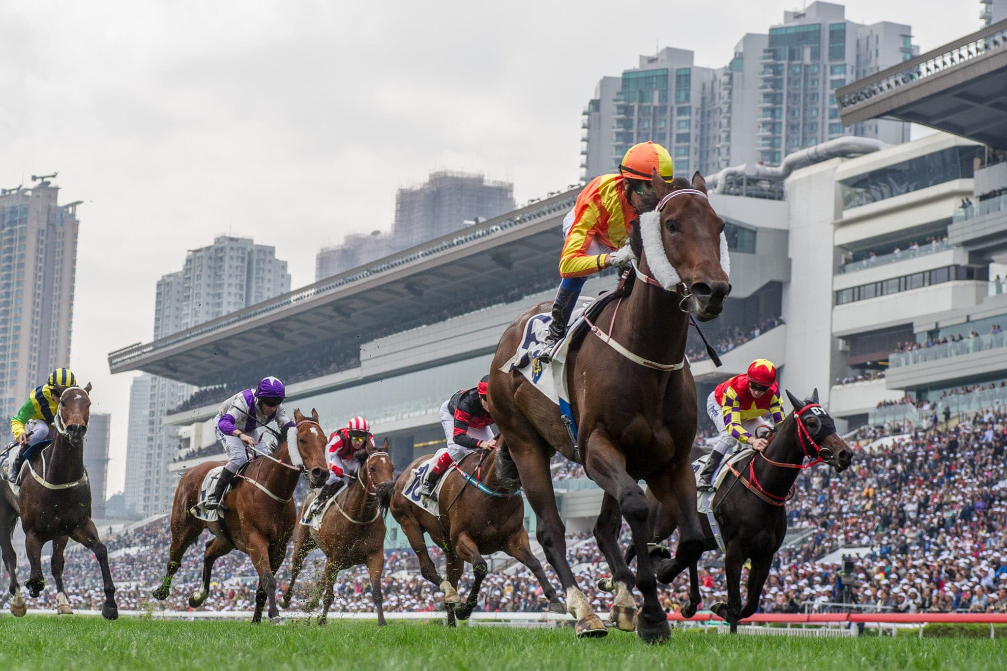 Hong Kong — Racing photograph by Sharon Lee Chapman