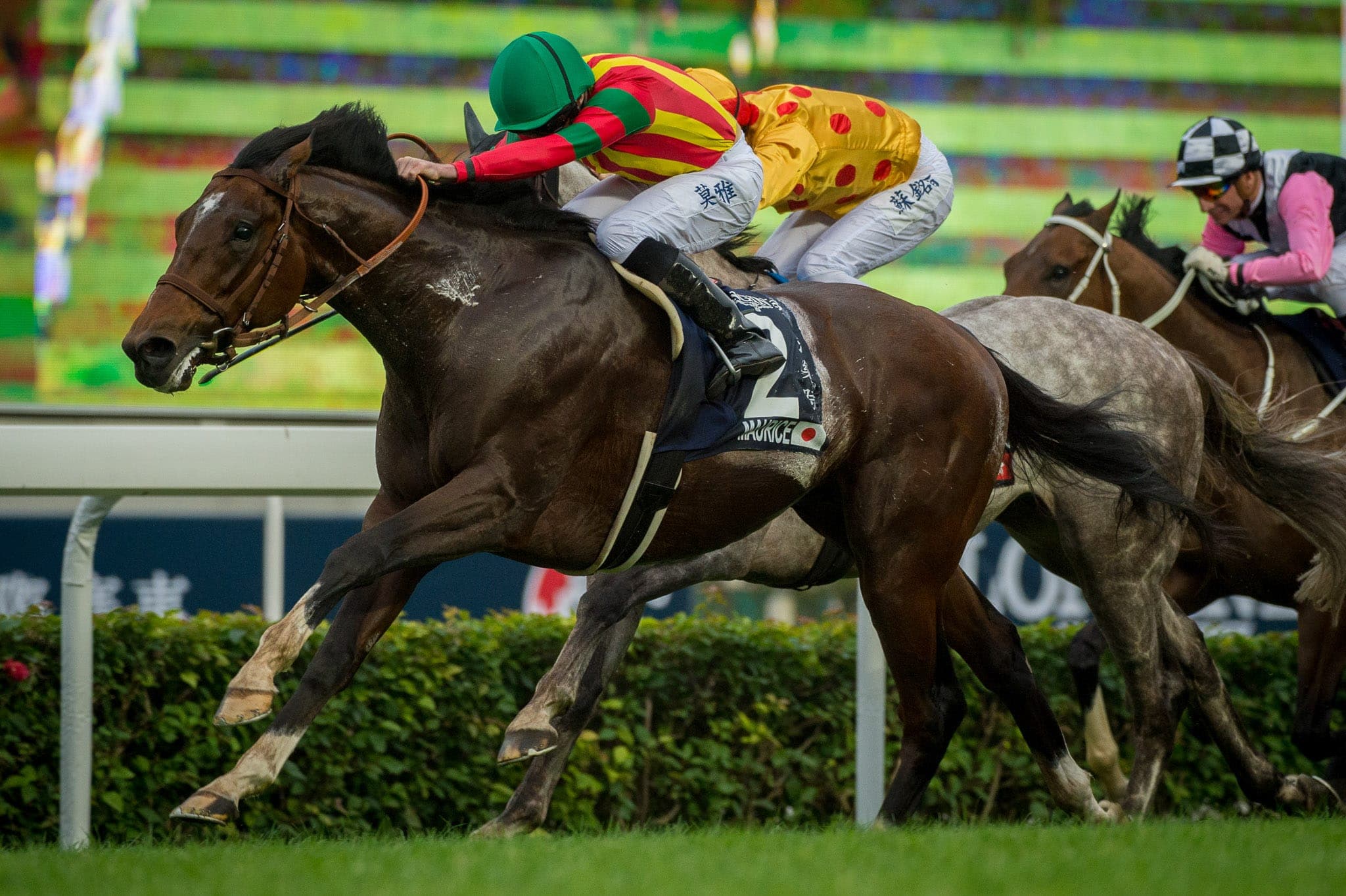 Hong Kong, Maurice — Racing photograph by Sharon Lee Chapman