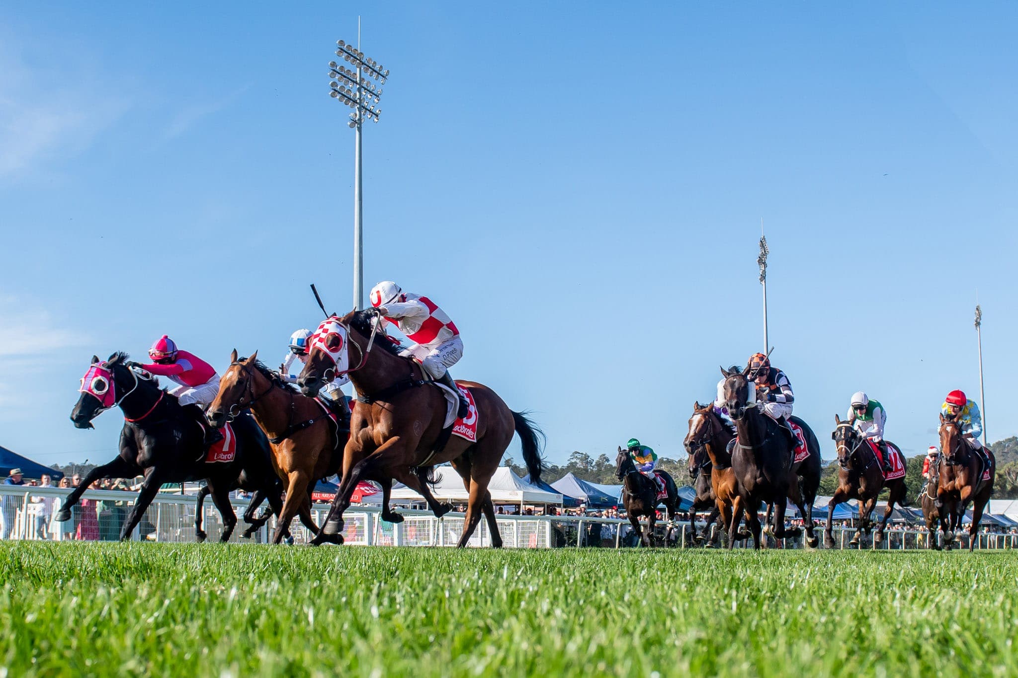 Launceston — Racing photograph by Sharon Lee Chapman