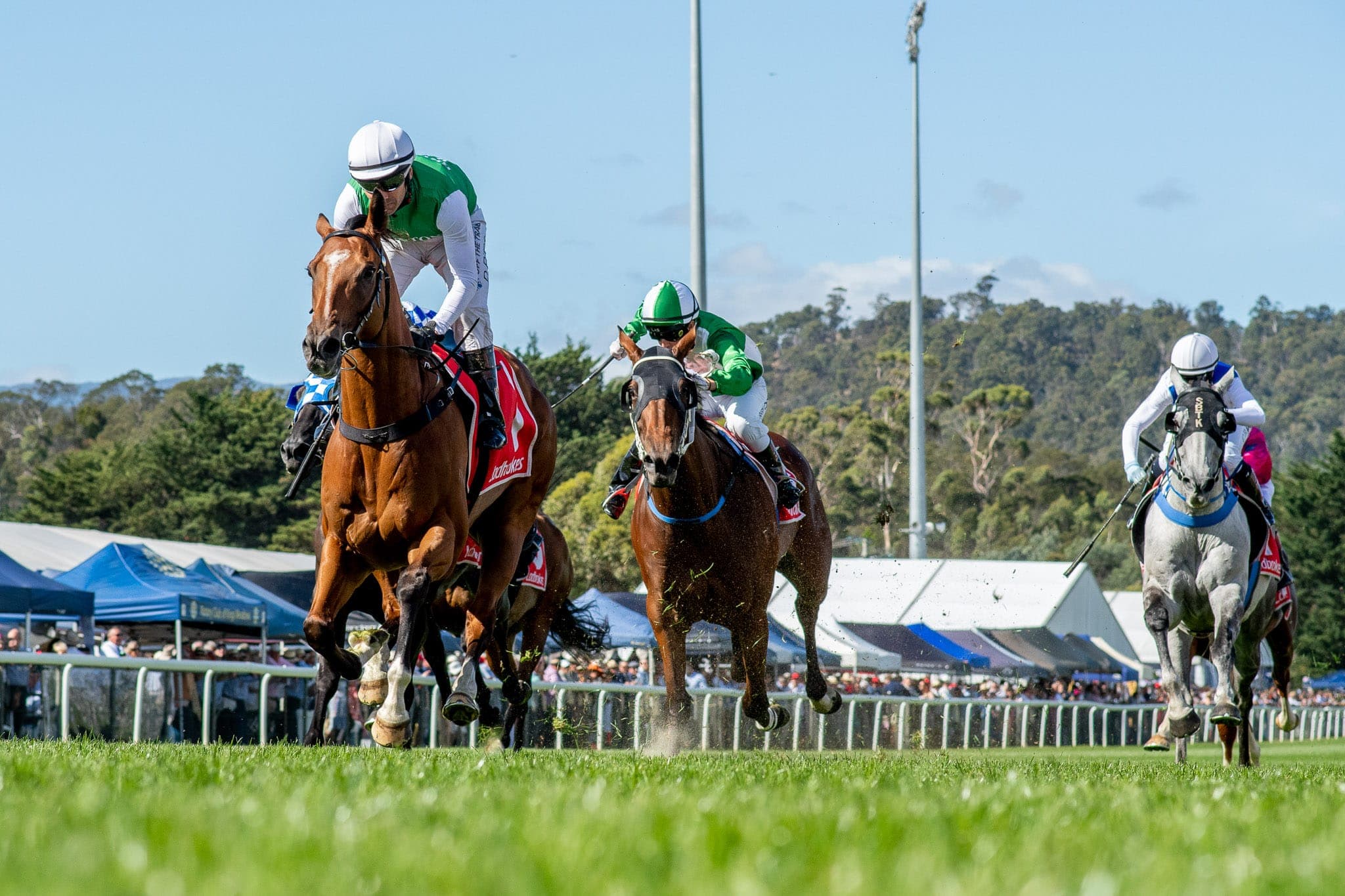 Launceston, The Inevitable — Racing photograph by Sharon Lee Chapman