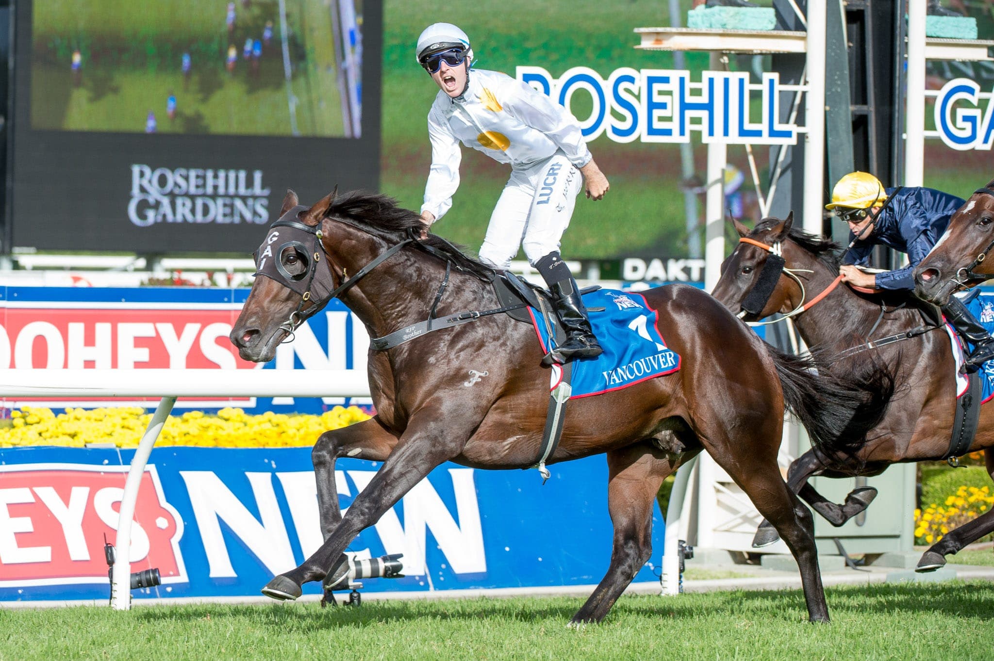 Rosehill, Golden Slipper, Vancouver — Racing photograph by Sharon Lee Chapman