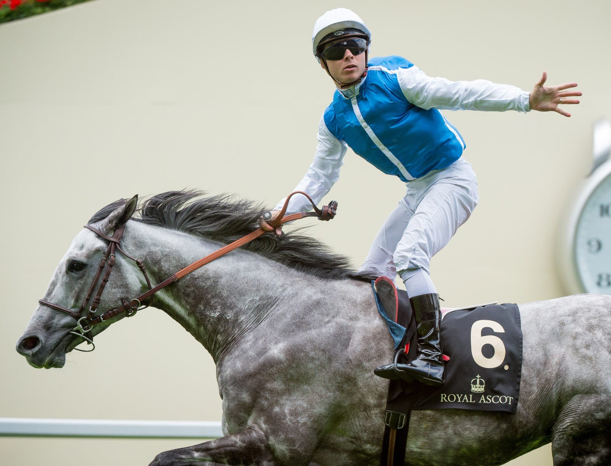 Royal Ascot, Solow — Racing photograph by Sharon Lee Chapman