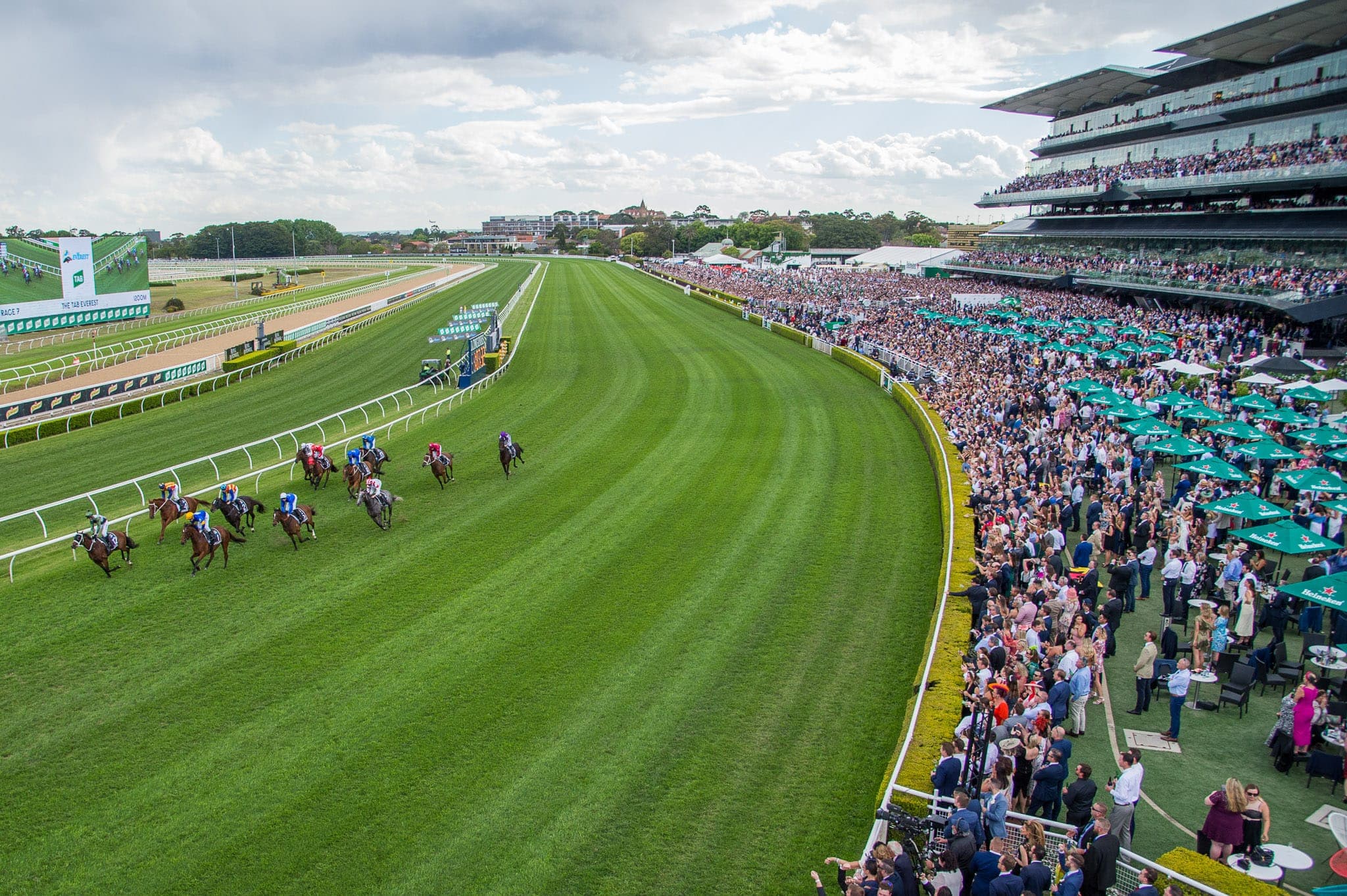 Royal Randwick, Everest — Racing photograph by Sharon Lee Chapman