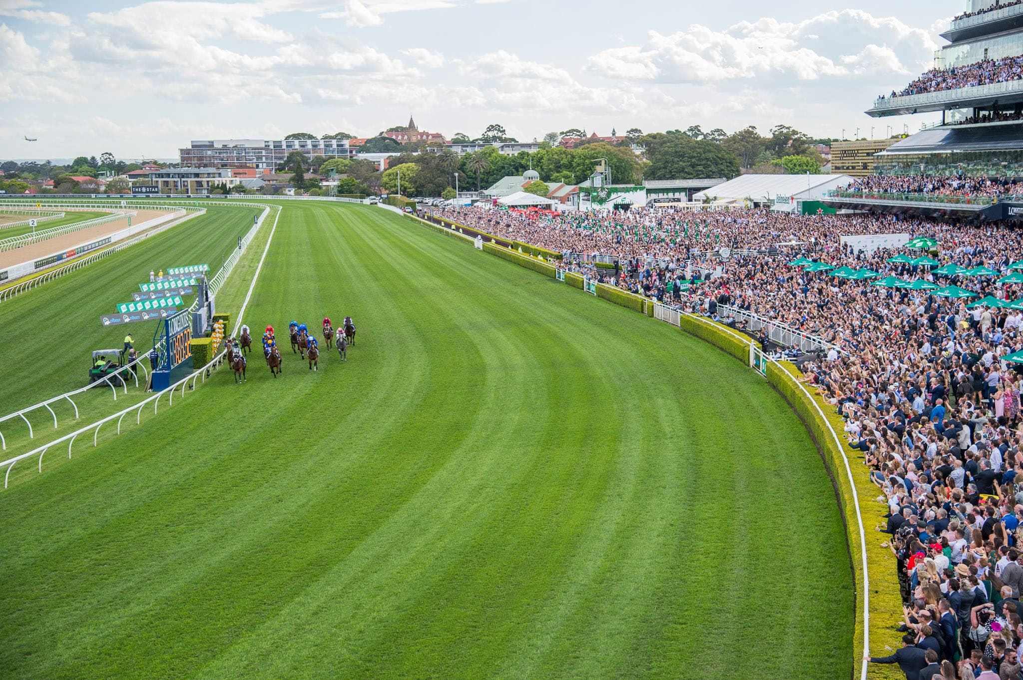 Royal Randwick, Everest — Racing photograph by Sharon Lee Chapman