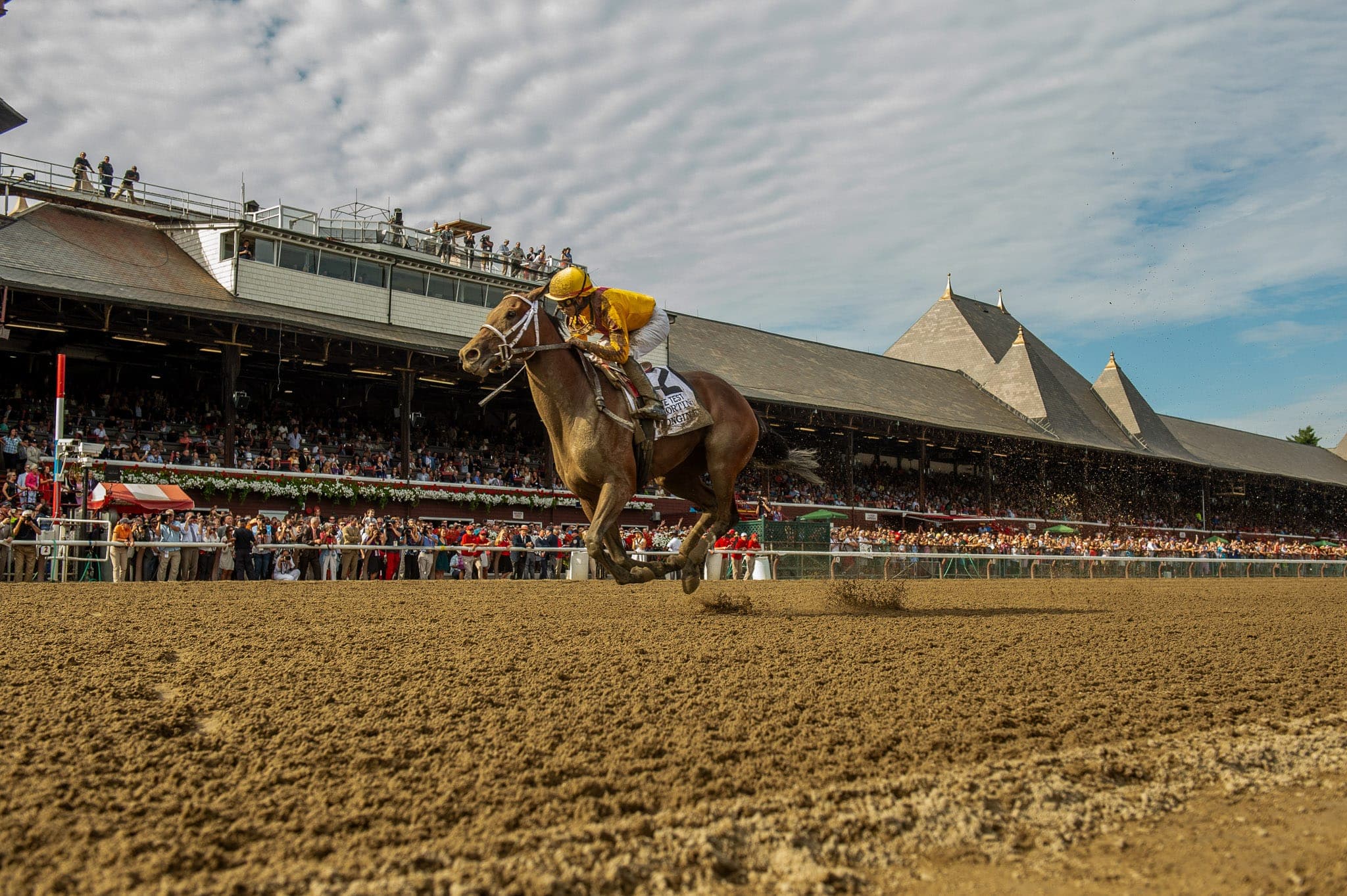 Saratoga, Dirt Racing — Racing photograph by Sharon Lee Chapman
