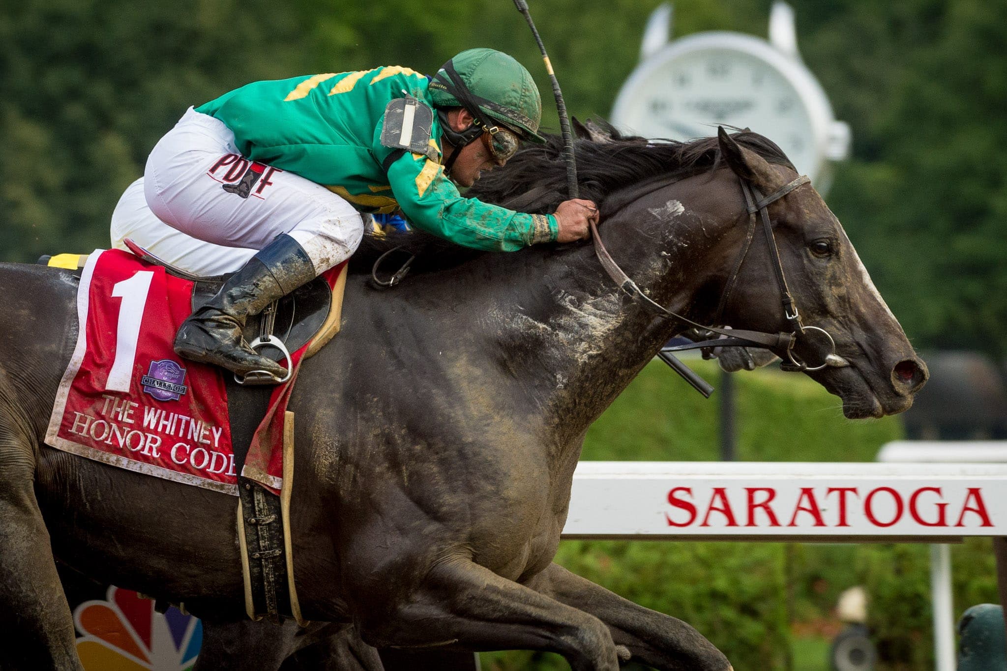 Saratoga, Dirt Racing, Honor Code — Racing photograph by Sharon Lee Chapman