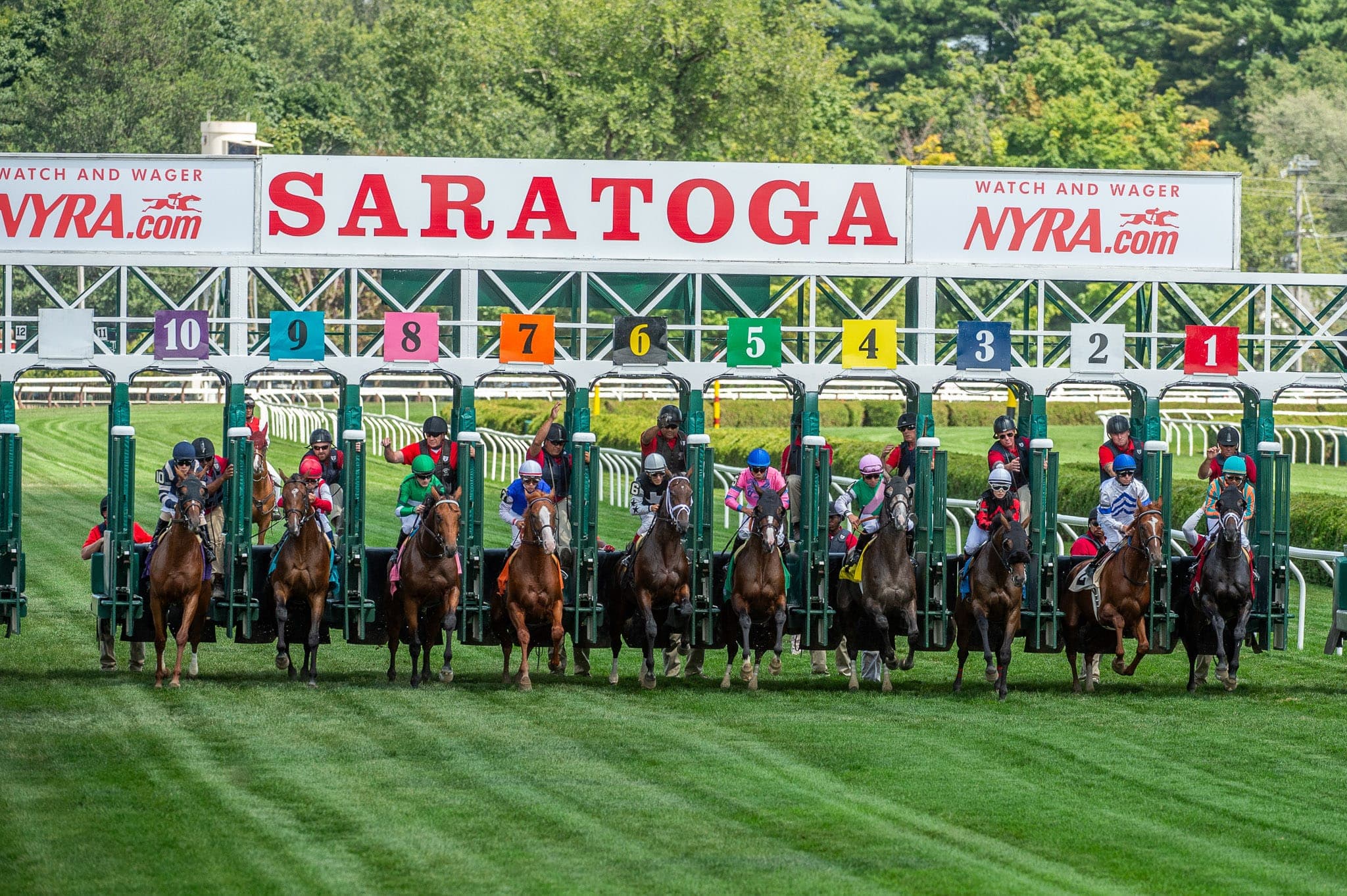Saratoga, Turf Racing — Racing photograph by Sharon Lee Chapman