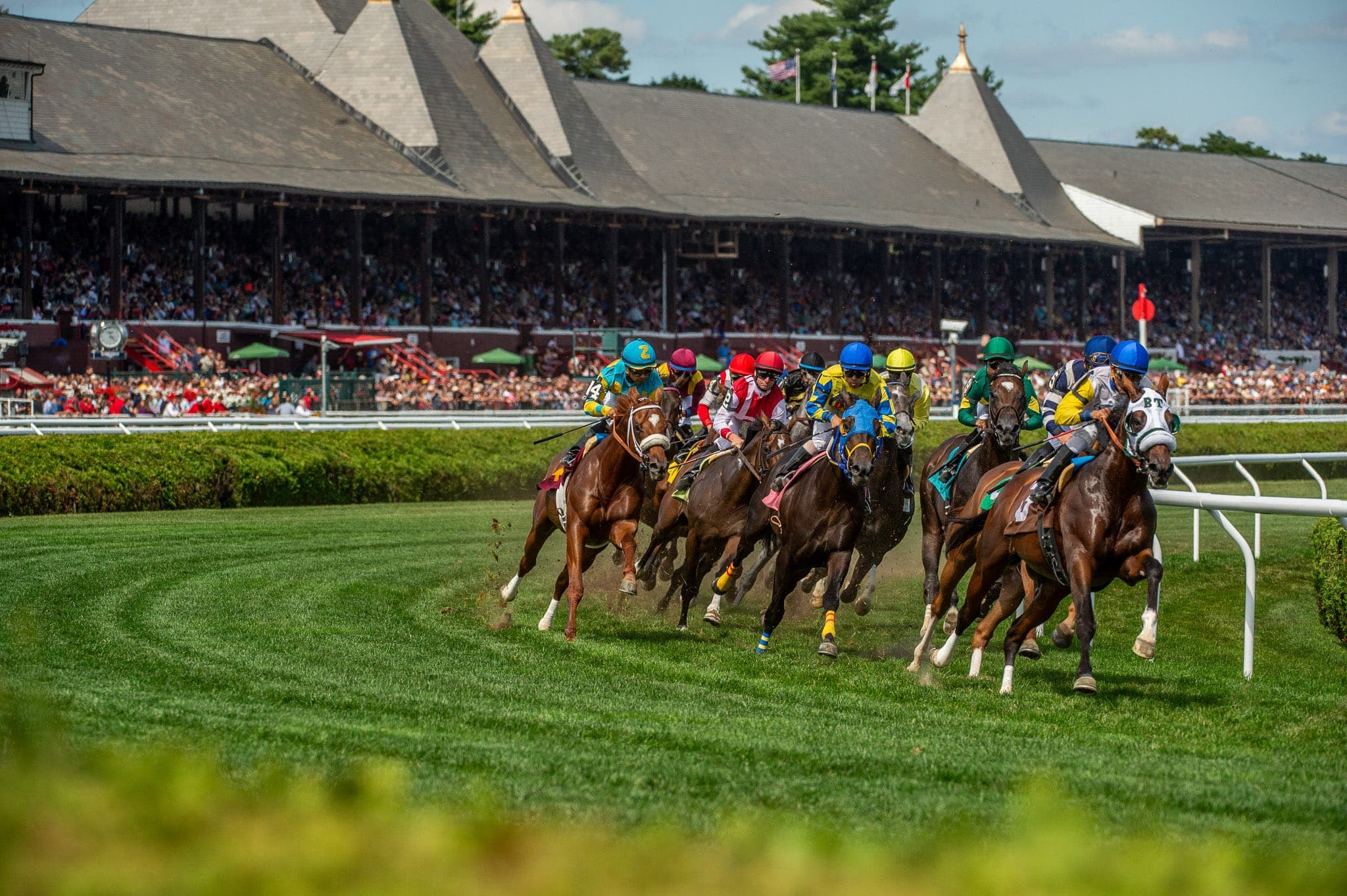Saratoga, Turf Racing — Racing photograph by Sharon Lee Chapman