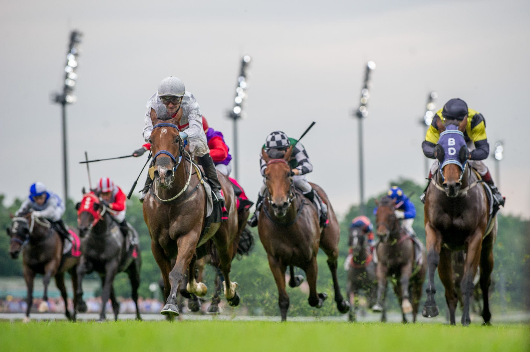 Singapore — Racing photograph by Sharon Lee Chapman