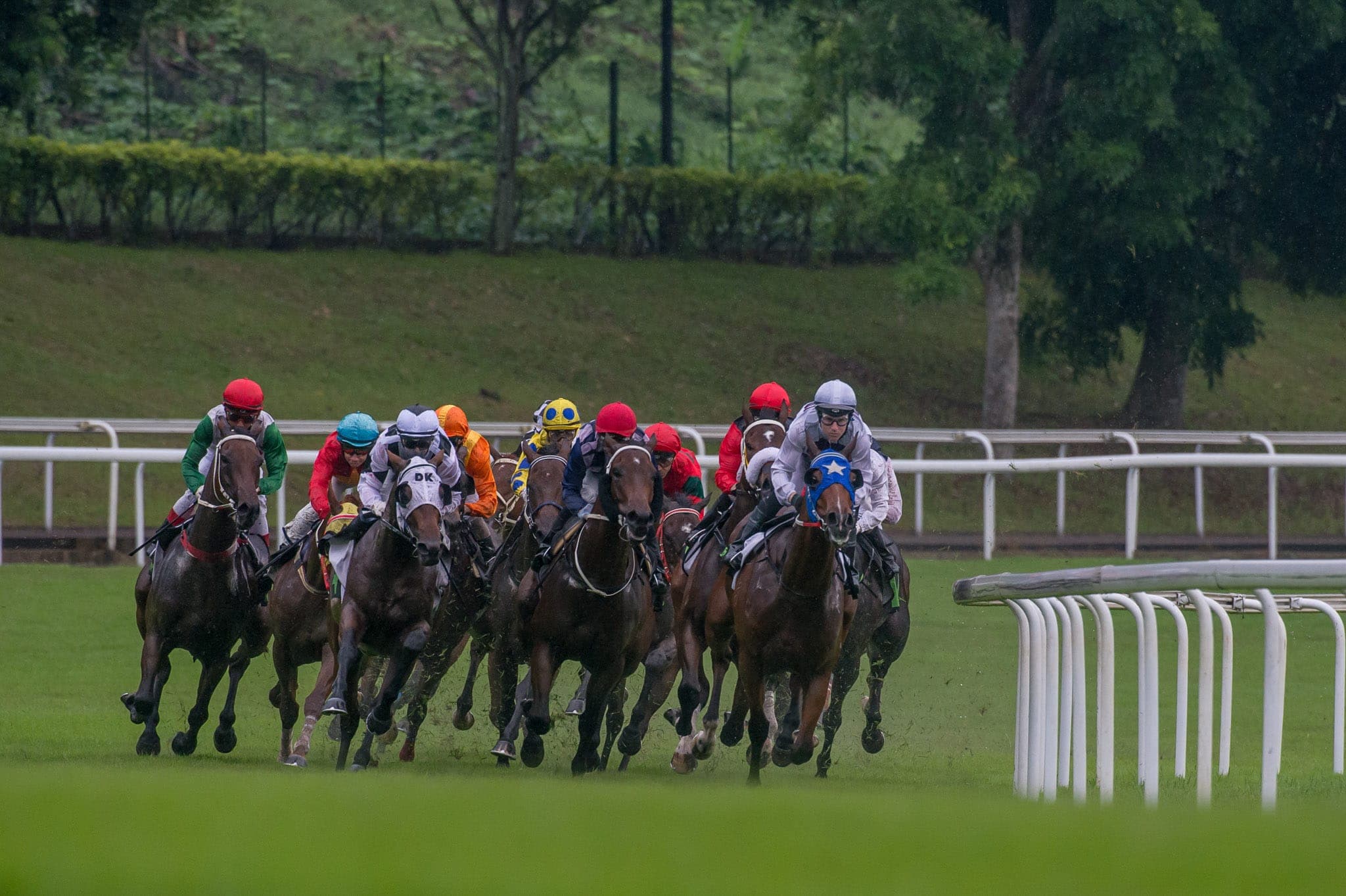 Singapore — Racing photograph by Sharon Lee Chapman